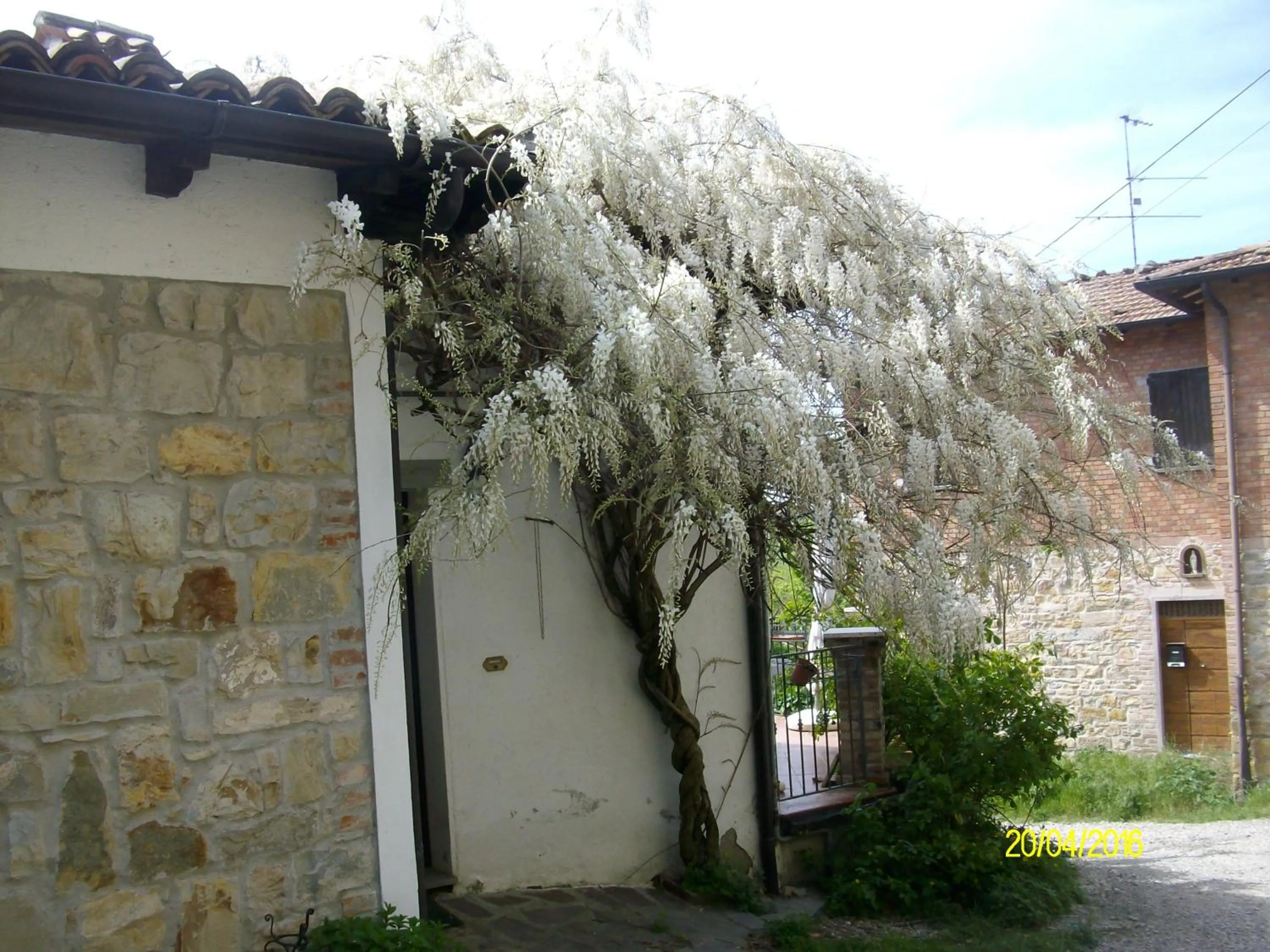 Other in B&b San Nicola