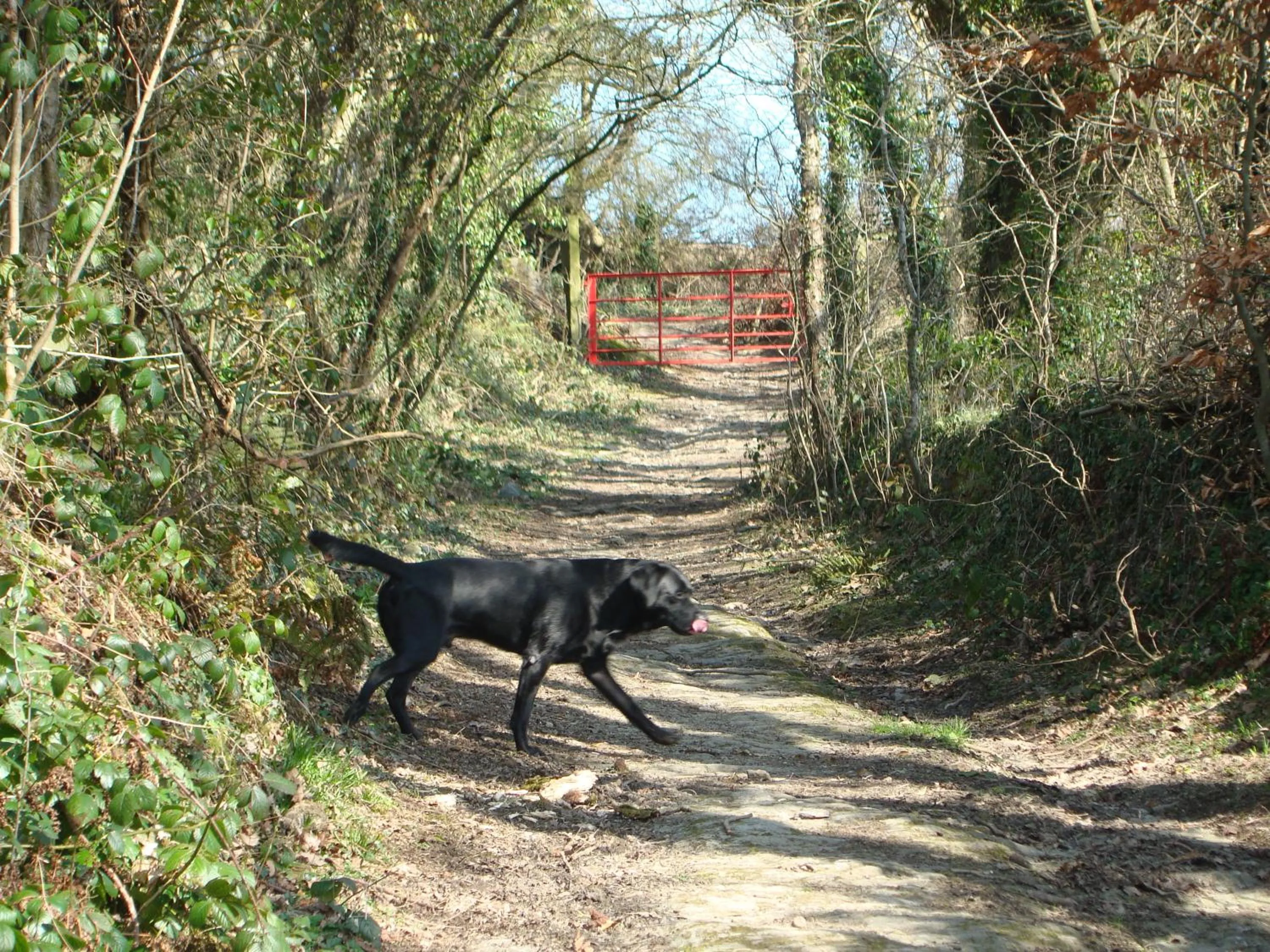 On site in Troedyrhiw Bed & Breakfast