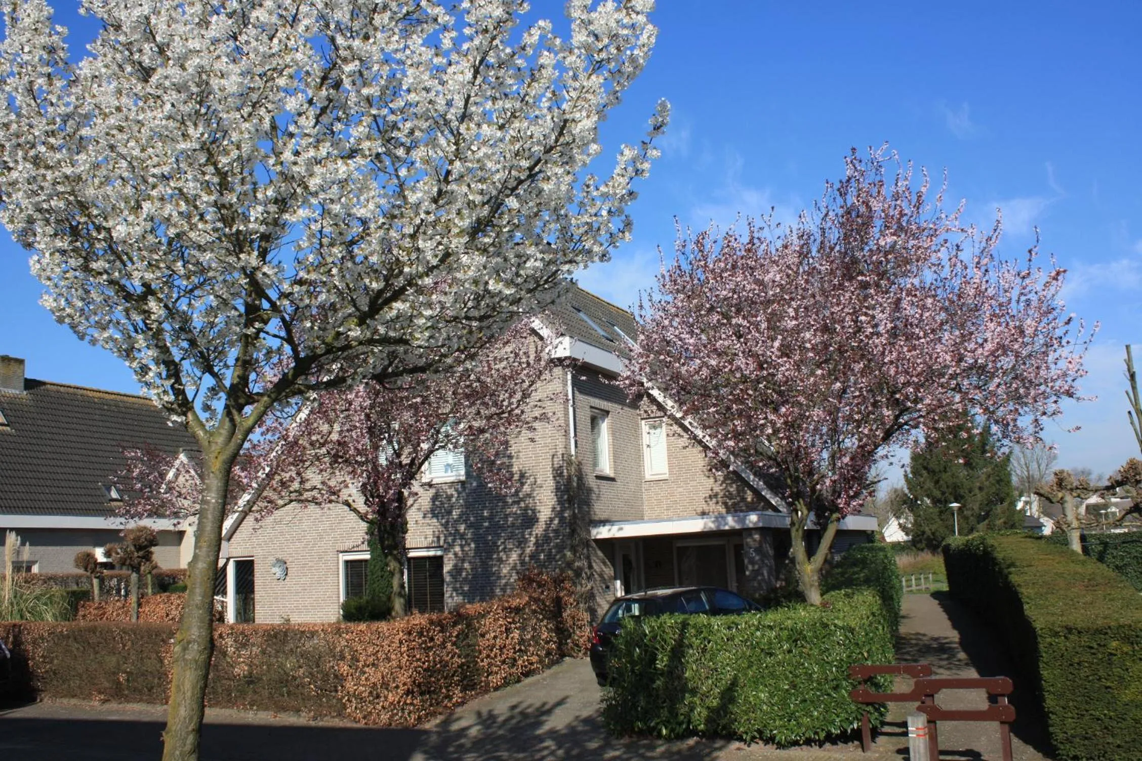 Quiet street view in Magnolia appartement