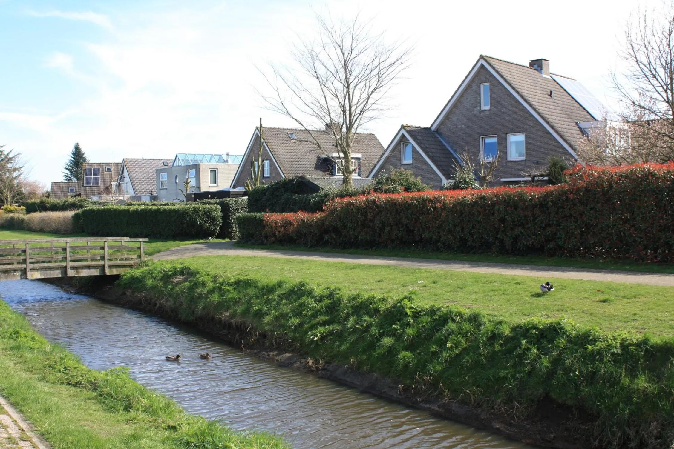 Neighbourhood in Magnolia appartement