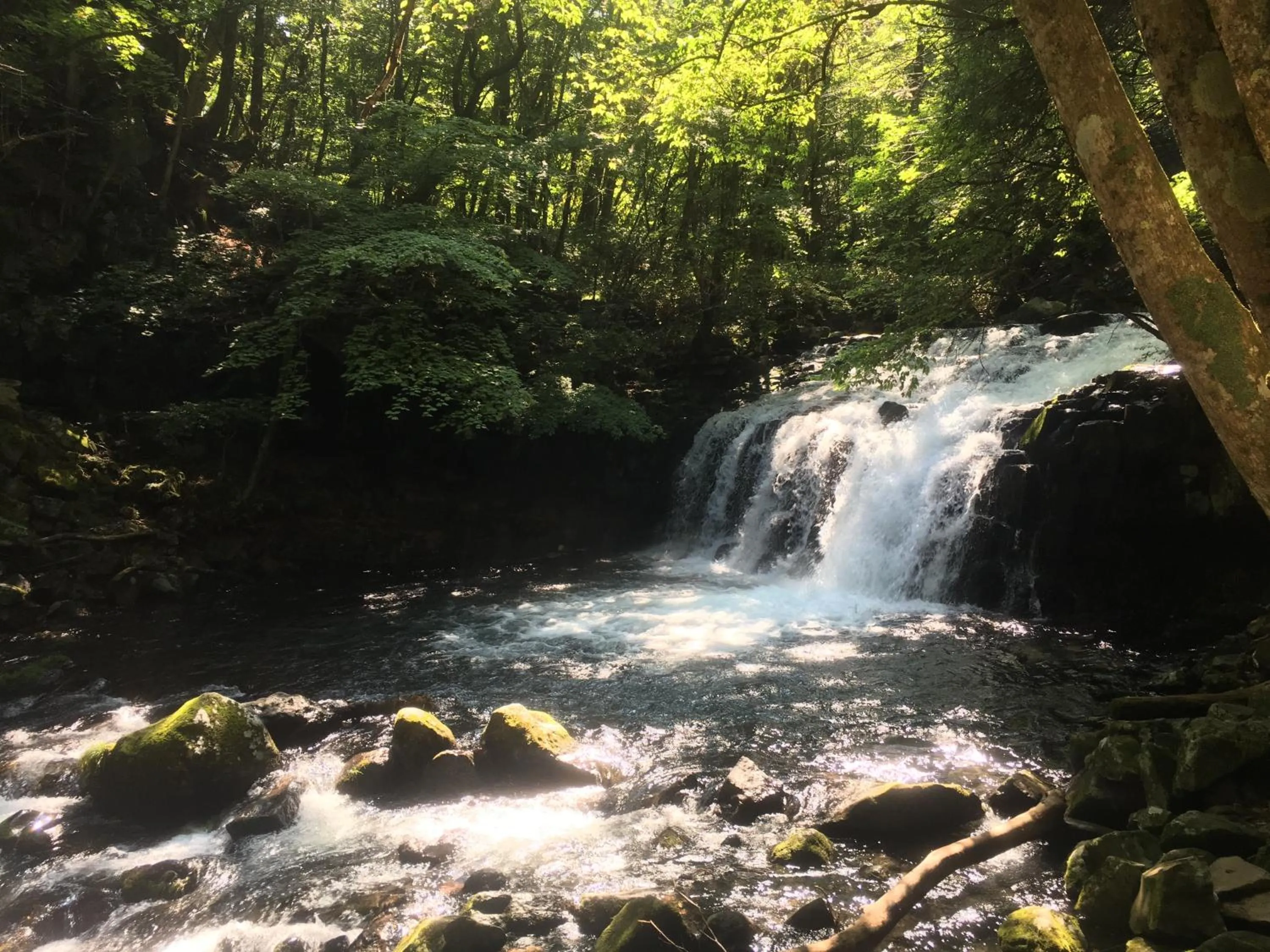 Nearby landmark in Pension Wildflowers