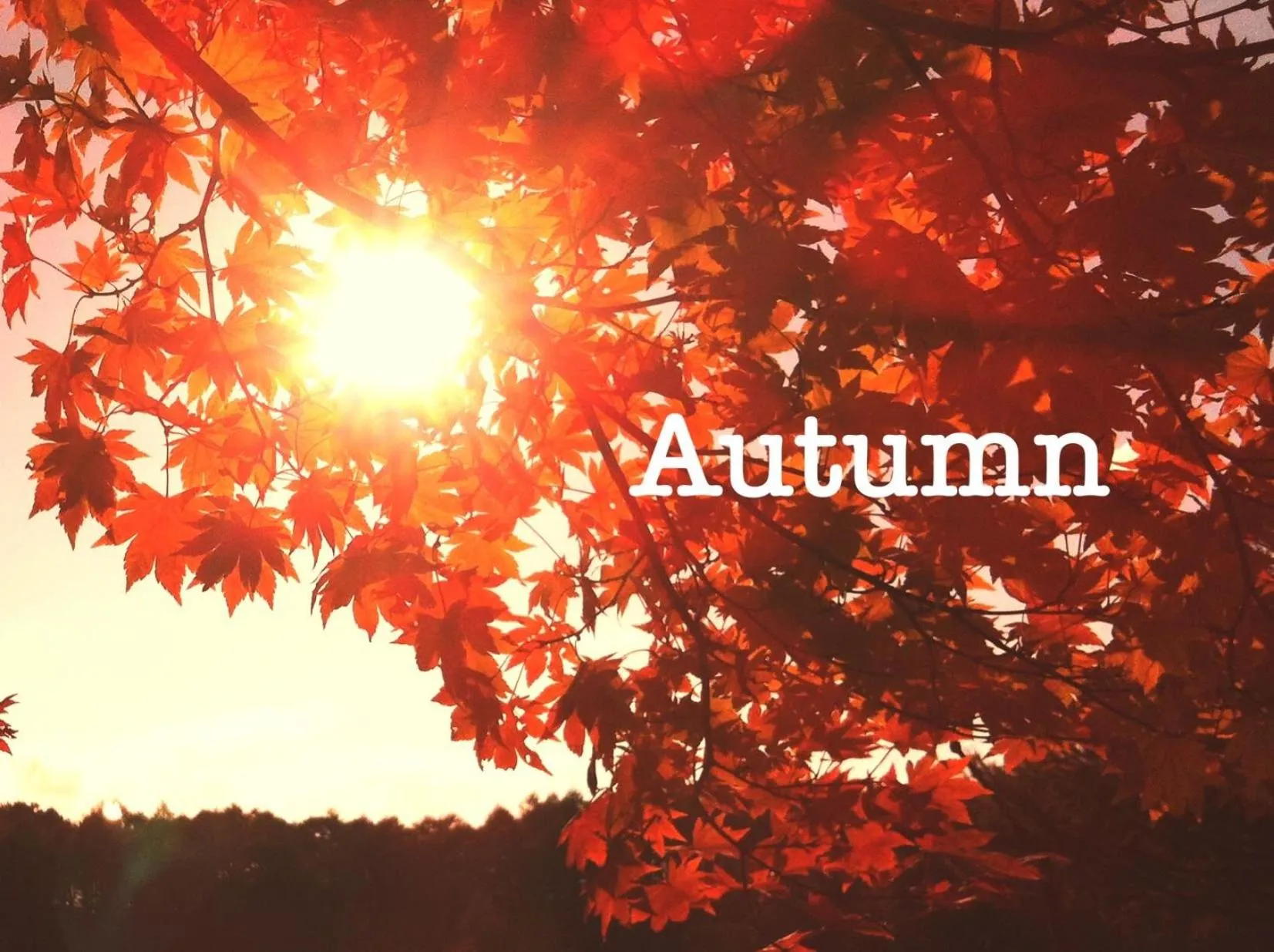 Off site in Pension Wildflowers