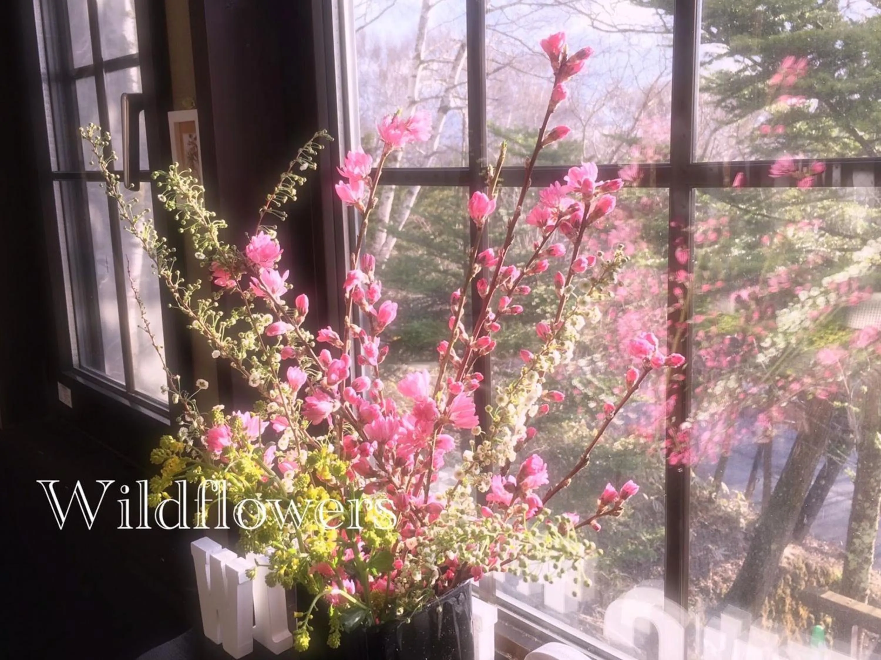 Restaurant/places to eat in Pension Wildflowers