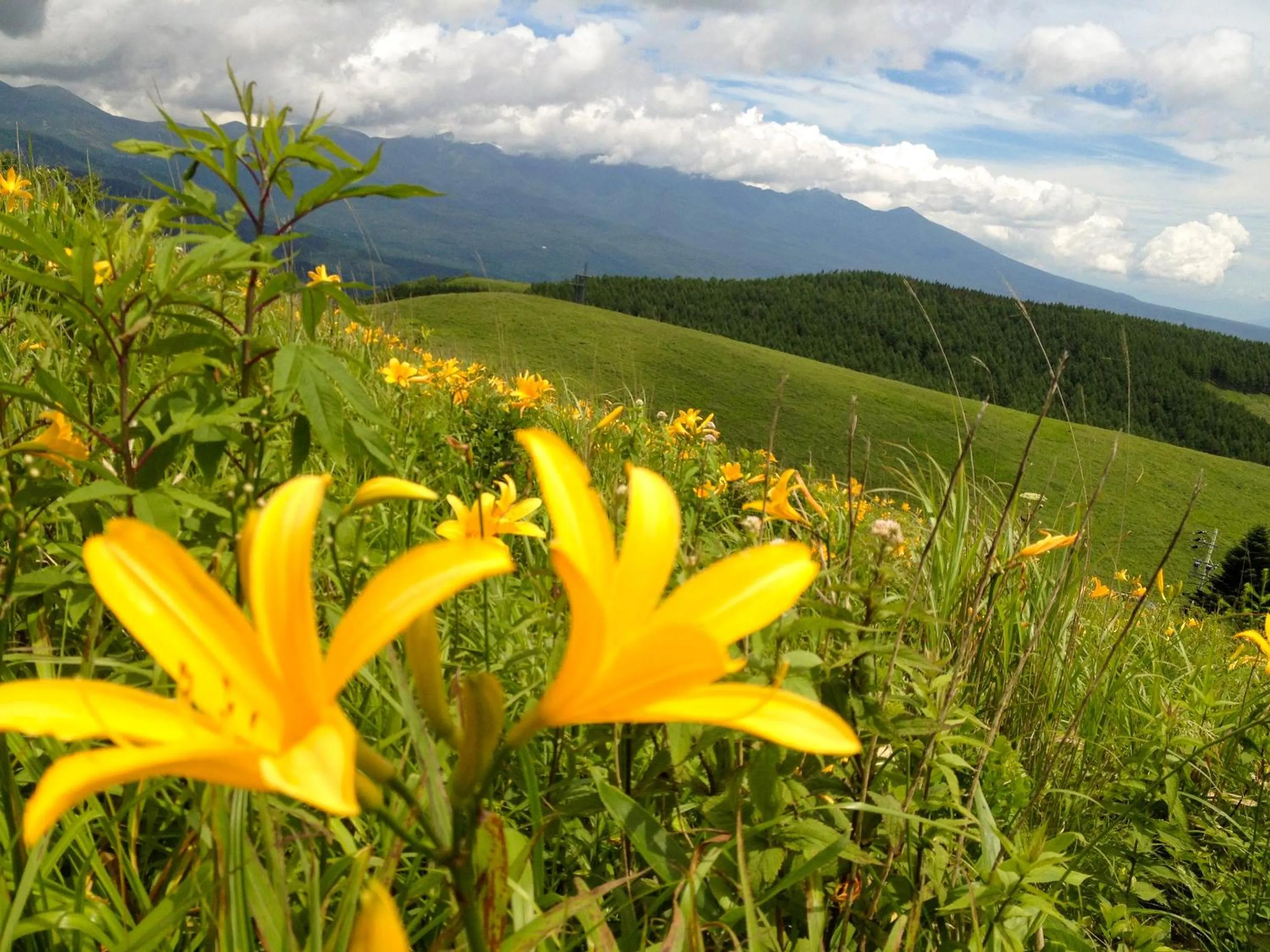 Nearby landmark in Pension Wildflowers