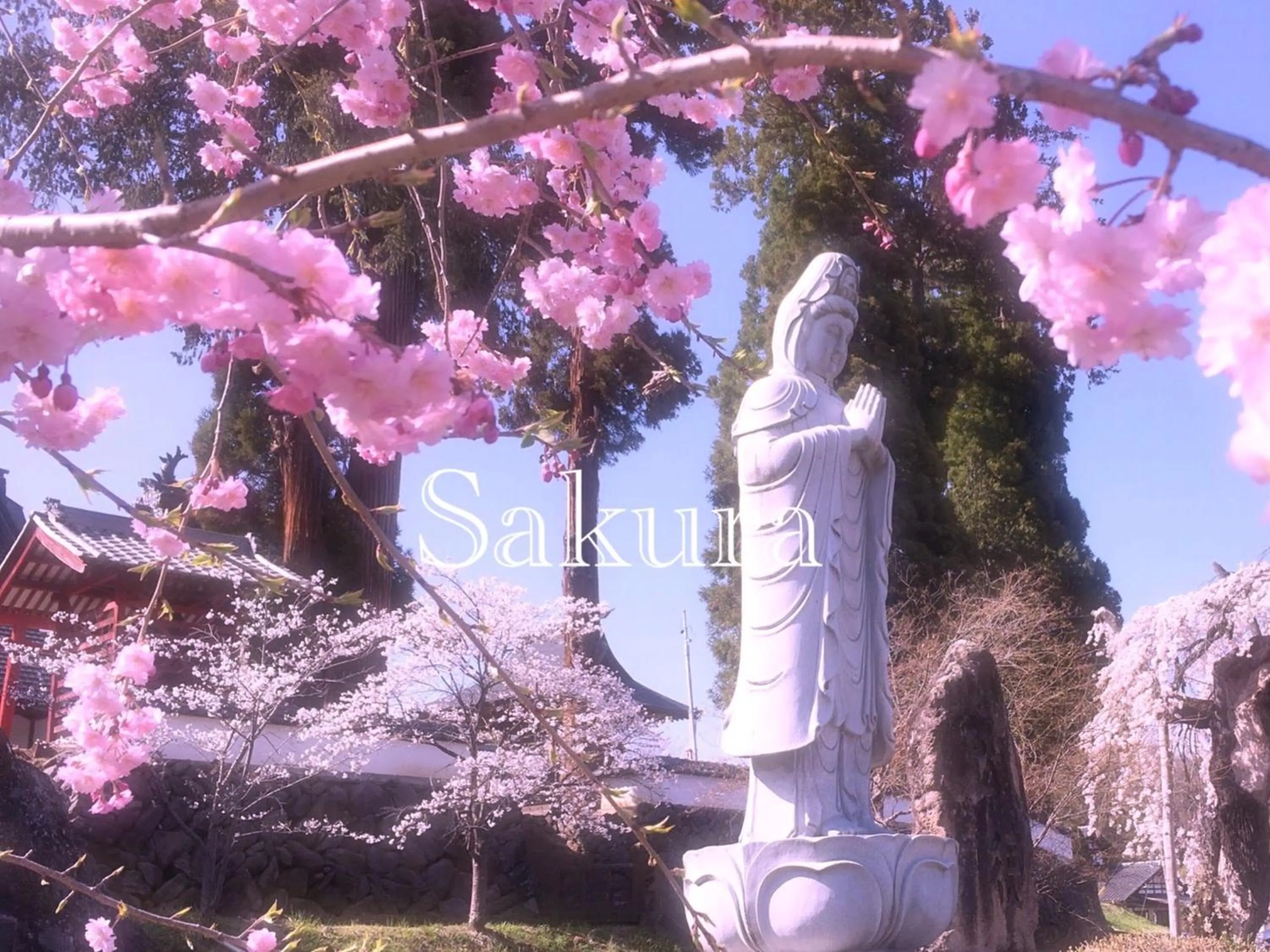 Nearby landmark in Pension Wildflowers