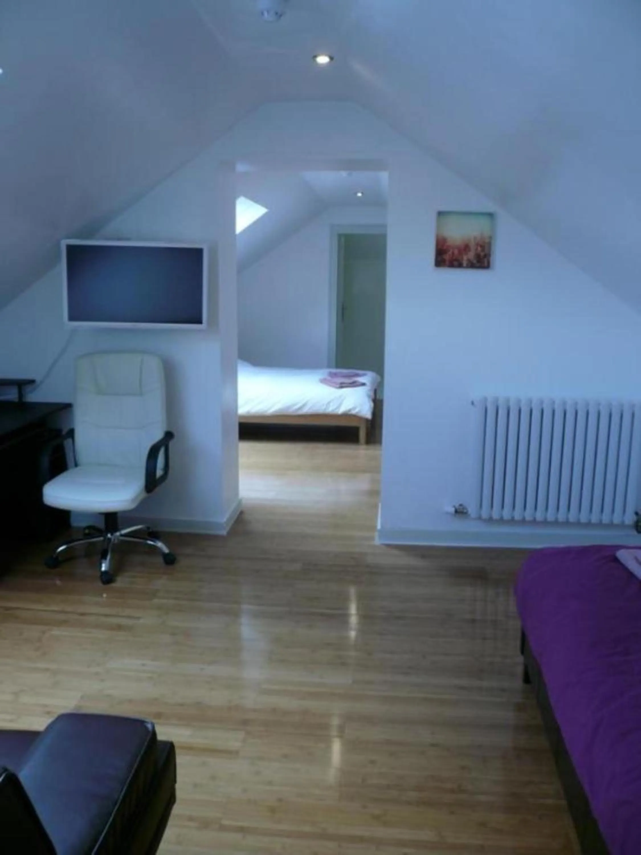 TV and multimedia in Ardenlea House Hotel B&b