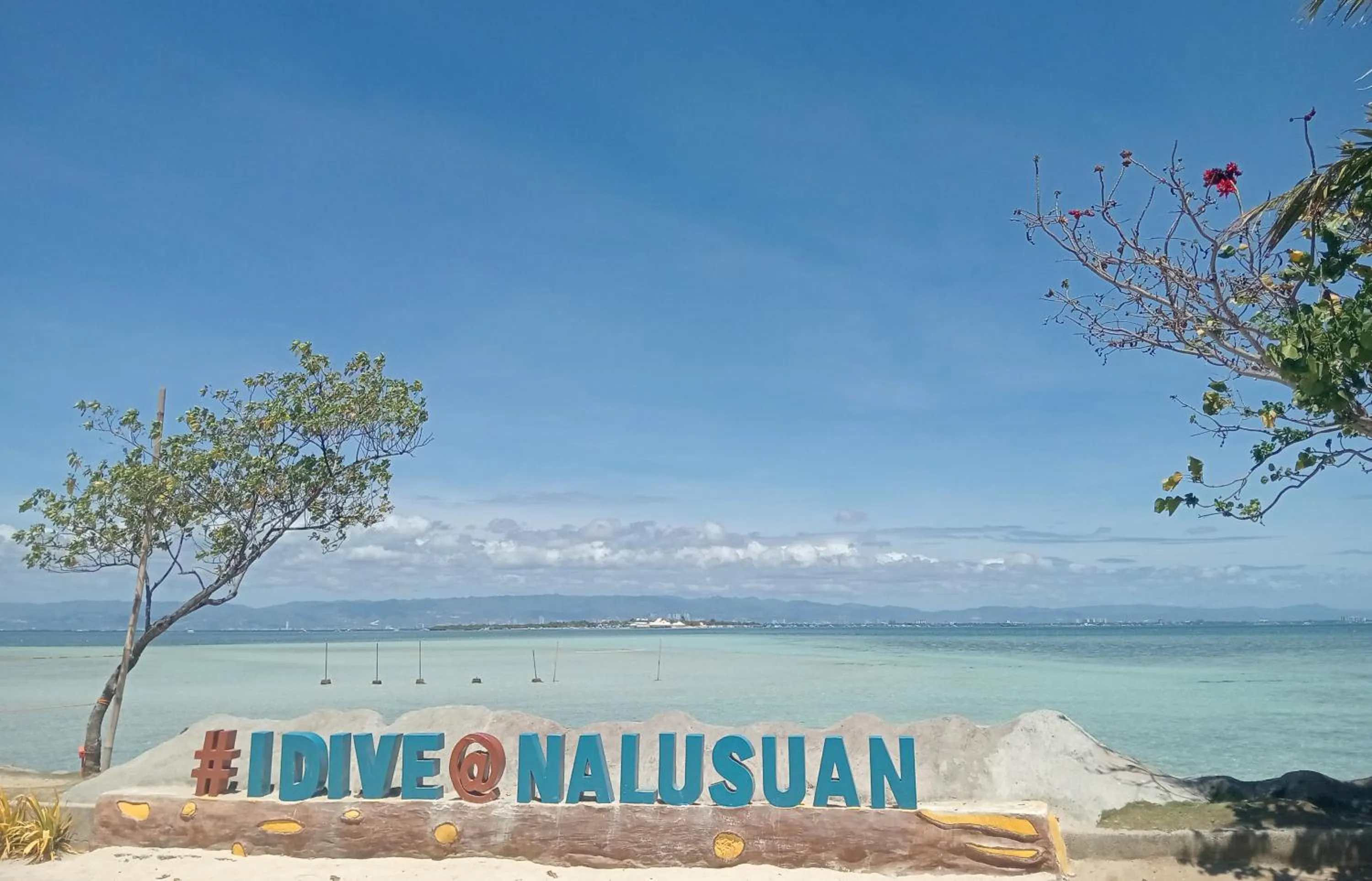 Nalusuan Island Resort and Marine Sanctuary