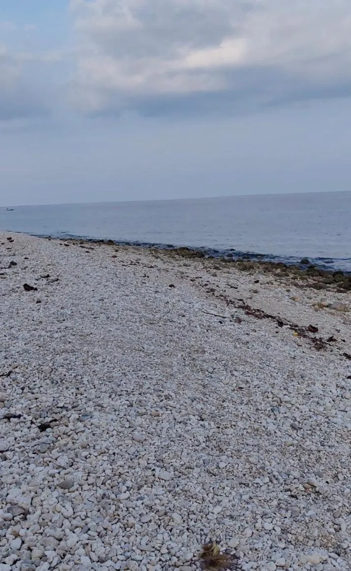 Beach in Lagnason's Place