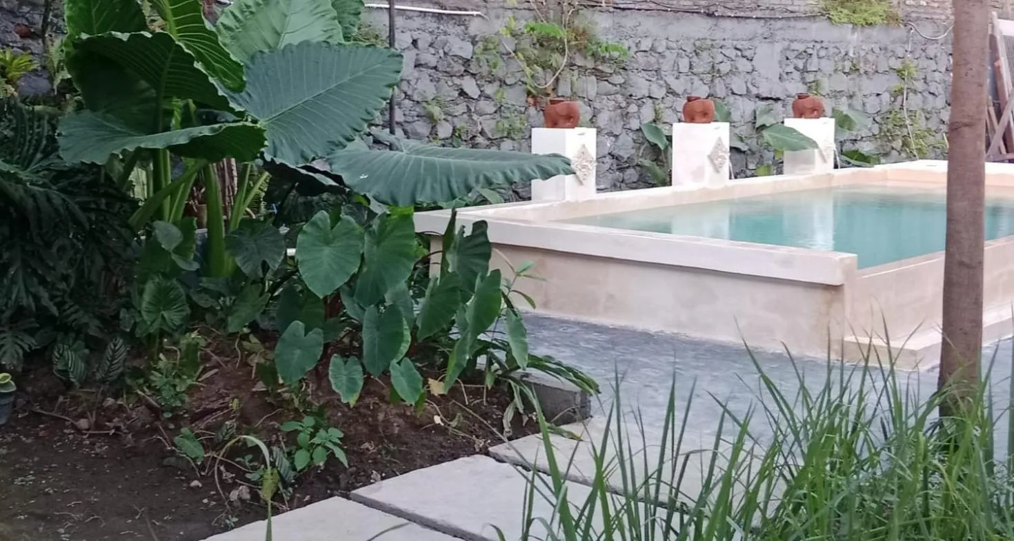 Swimming pool in Rosella Cottages - Homestay - Yogyakarta