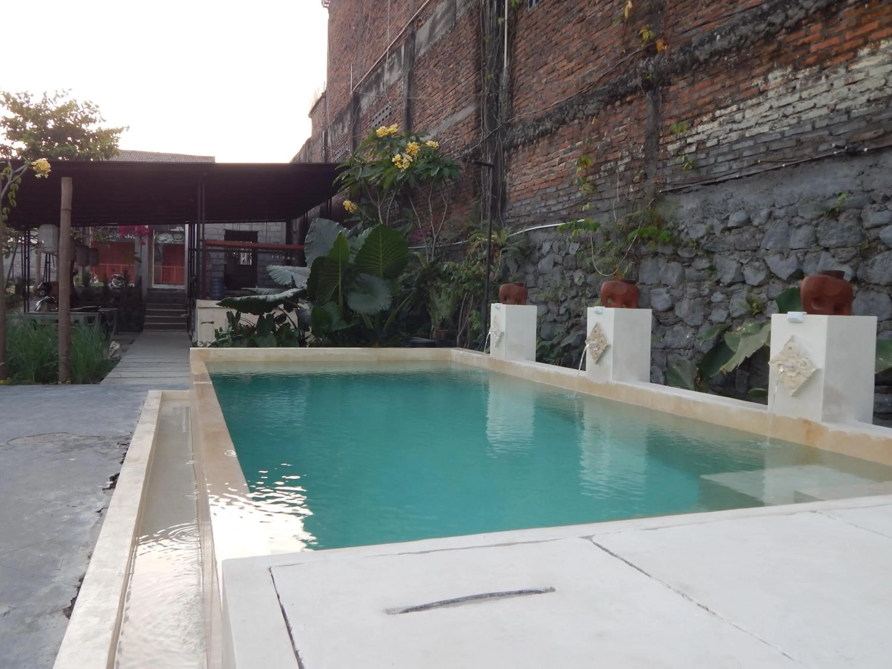 Swimming pool in Rosella Cottages - Homestay - Yogyakarta