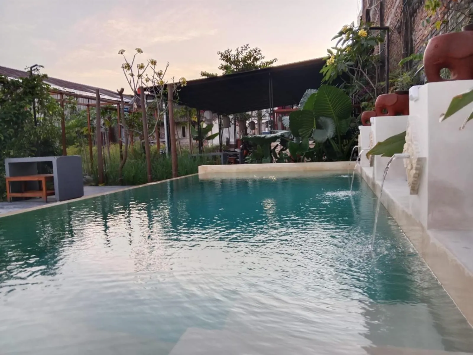 Swimming pool in Rosella Cottages - Homestay - Yogyakarta