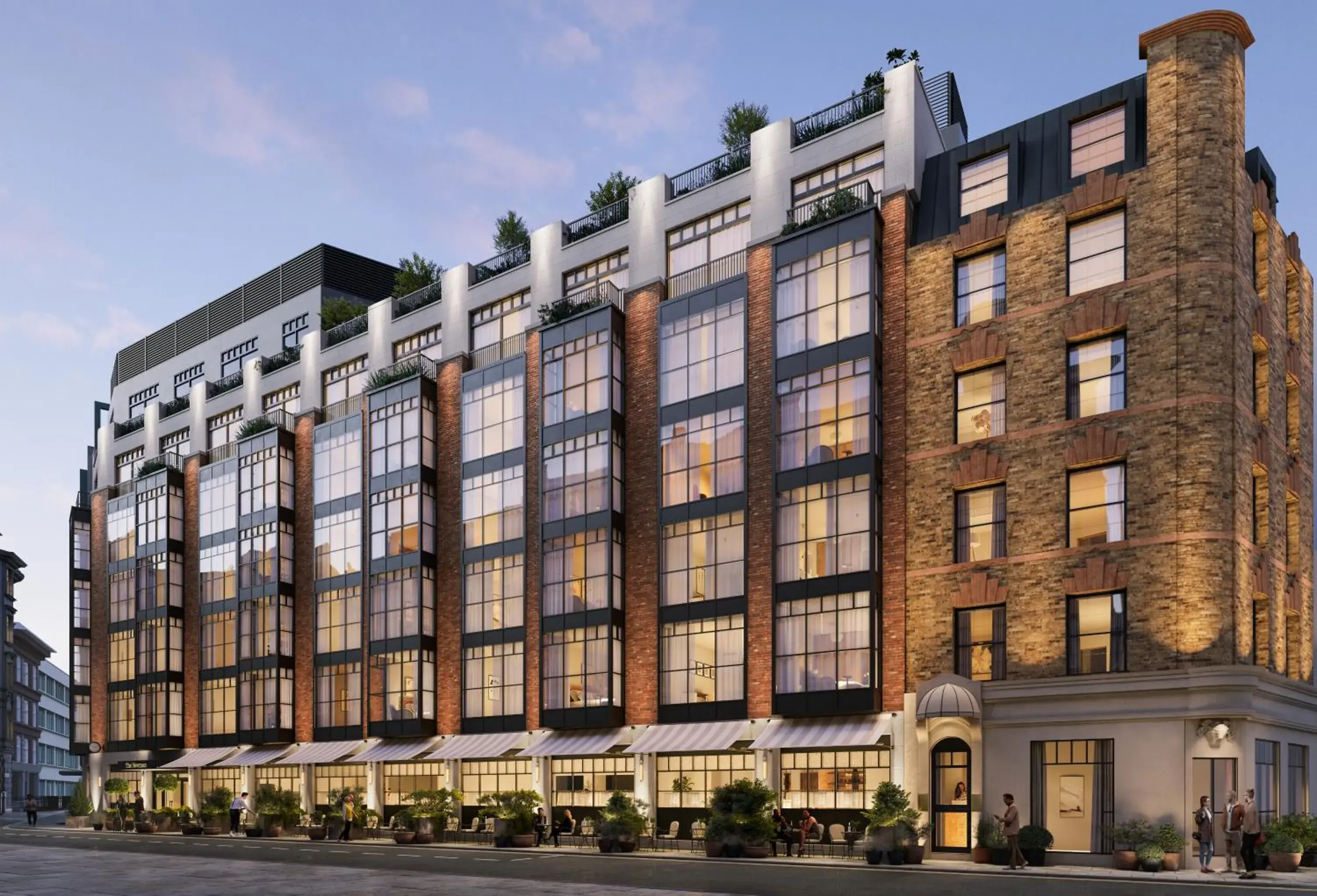 The Newman The Newman