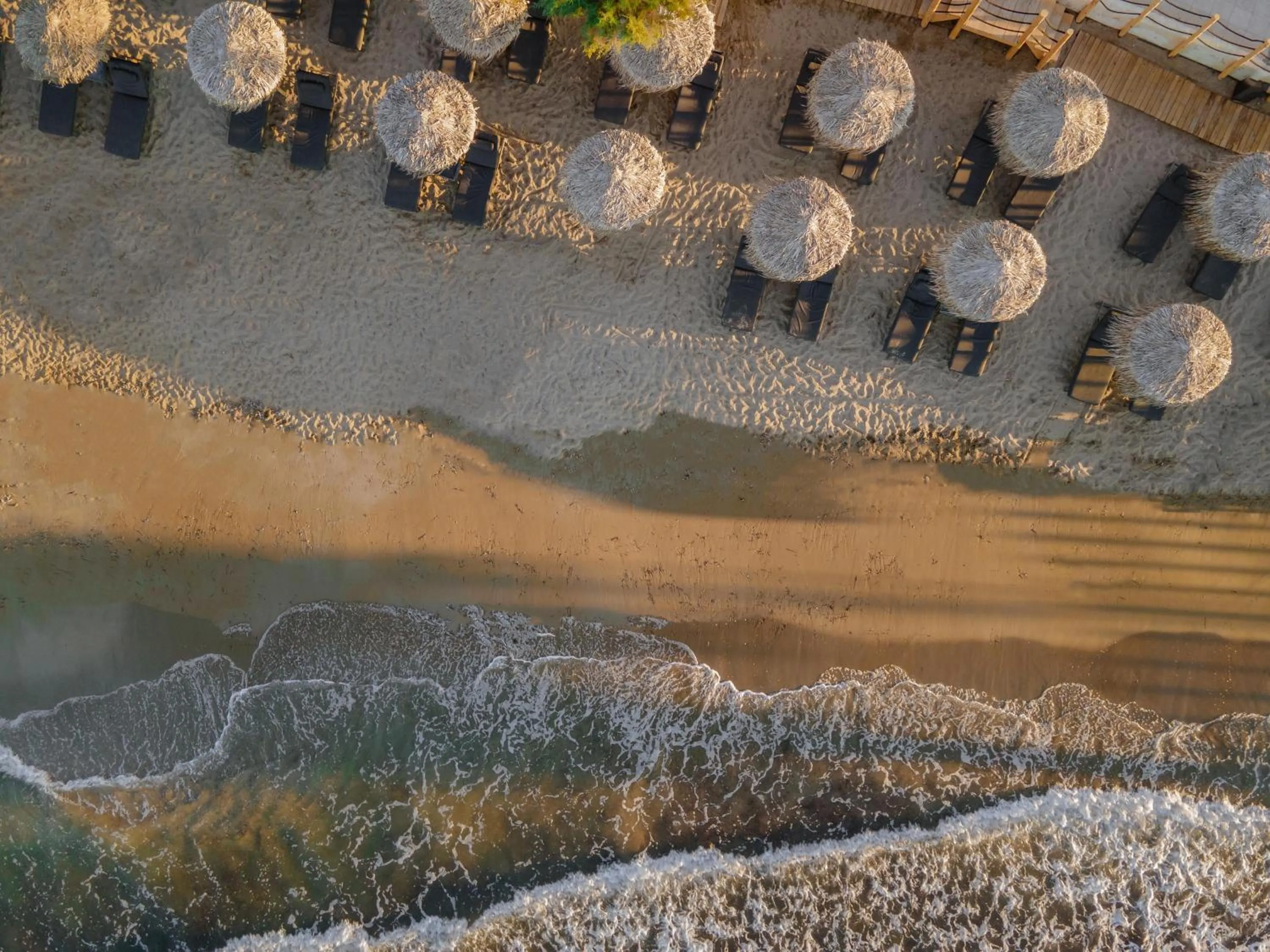 Beach in NEMA Design Hotel & Spa - Adults Only