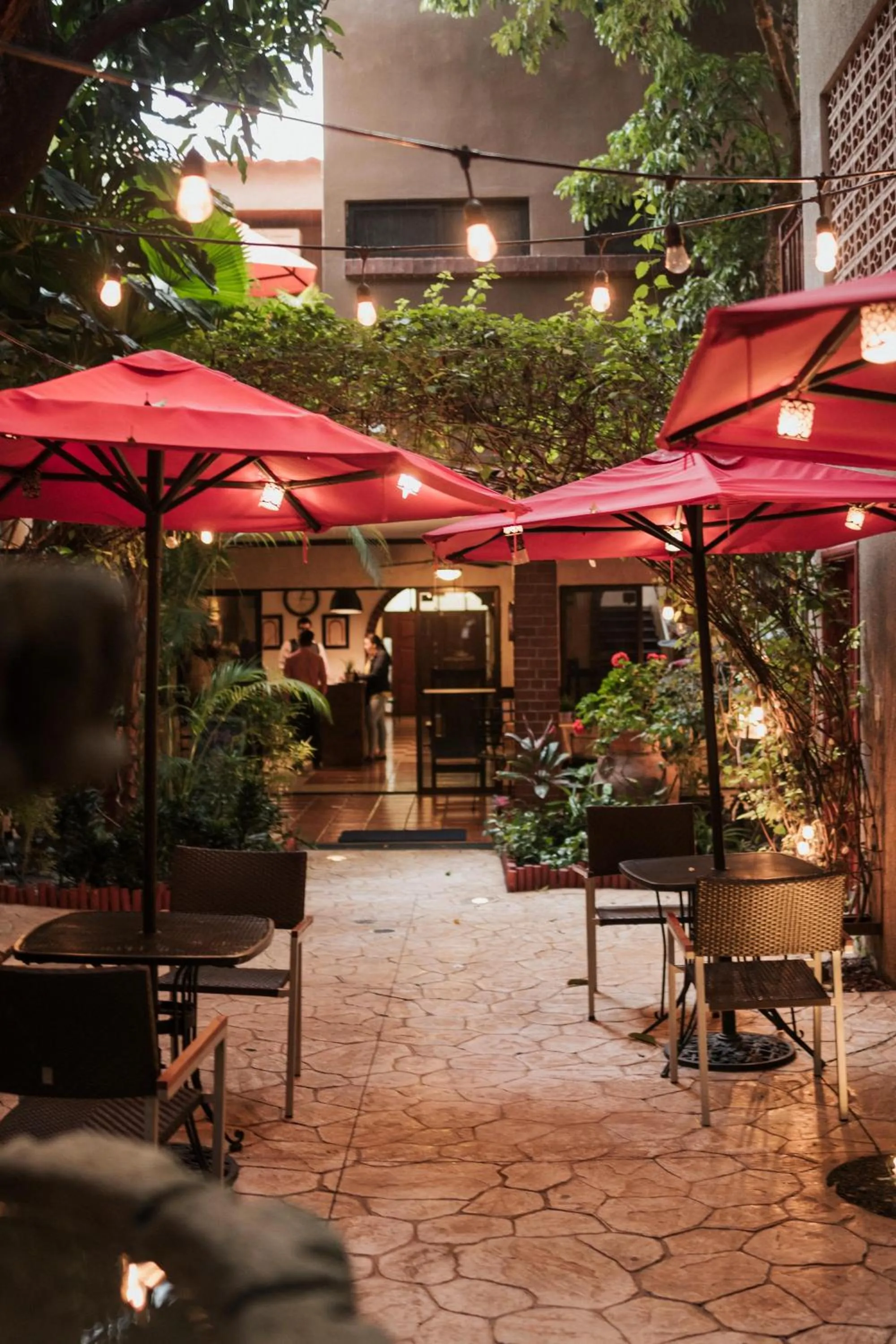 Garden in Humuya Inn