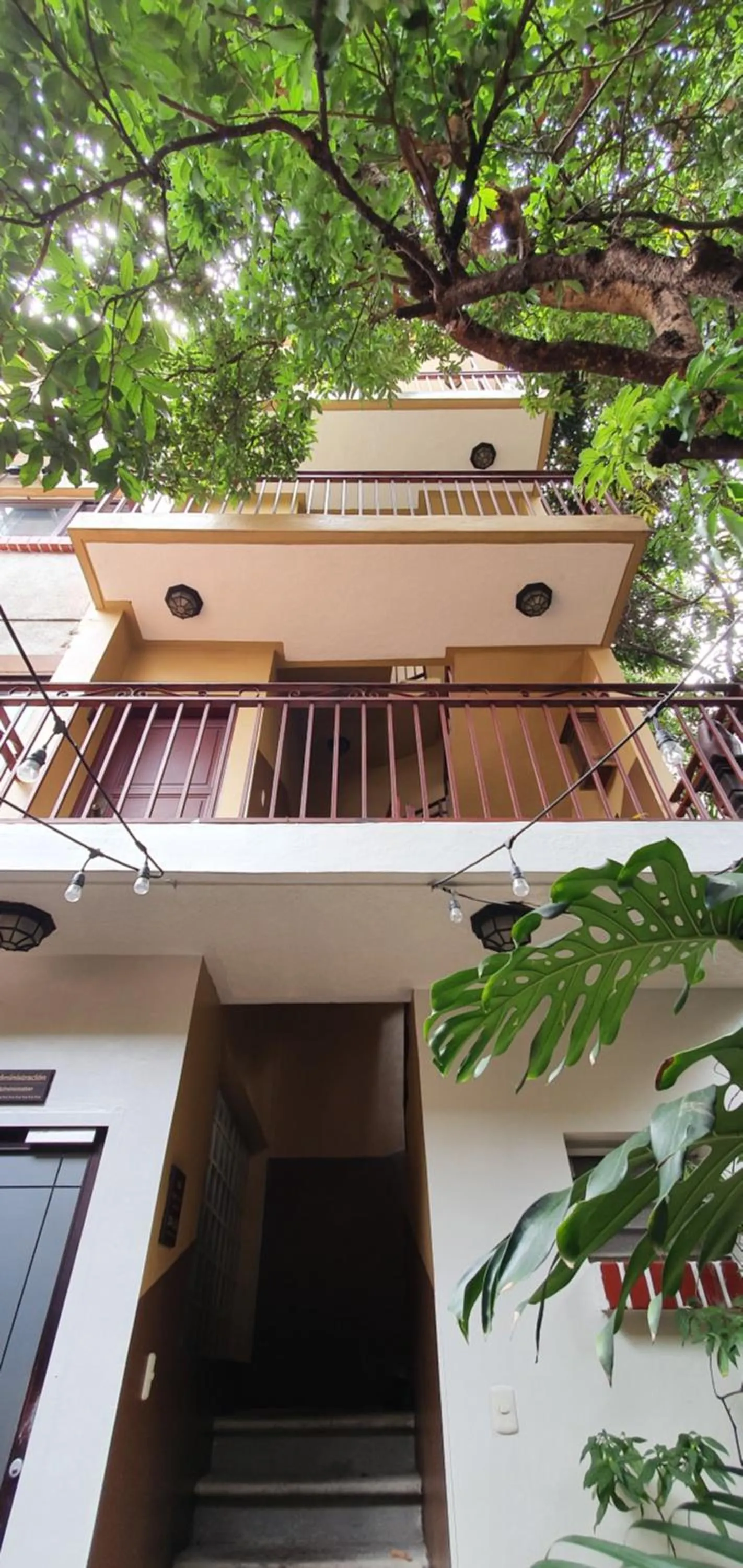 Garden in Humuya Inn