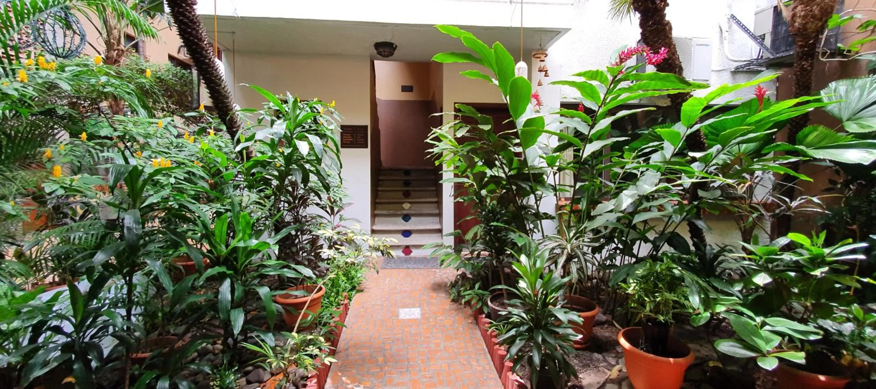 Garden in Humuya Inn