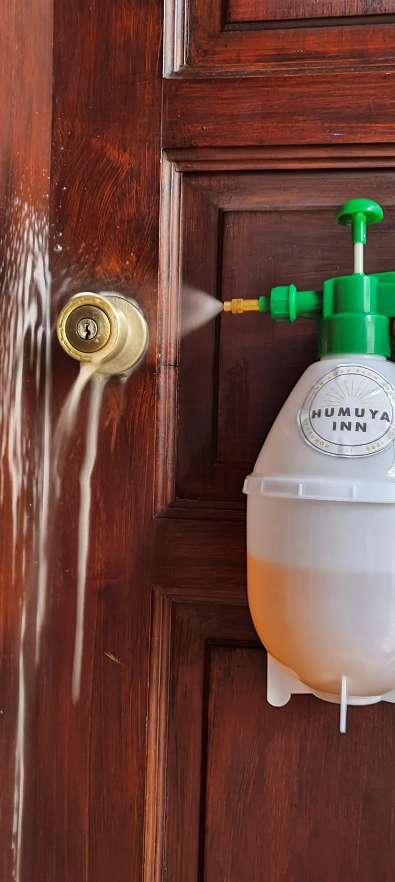 Property building in Humuya Inn