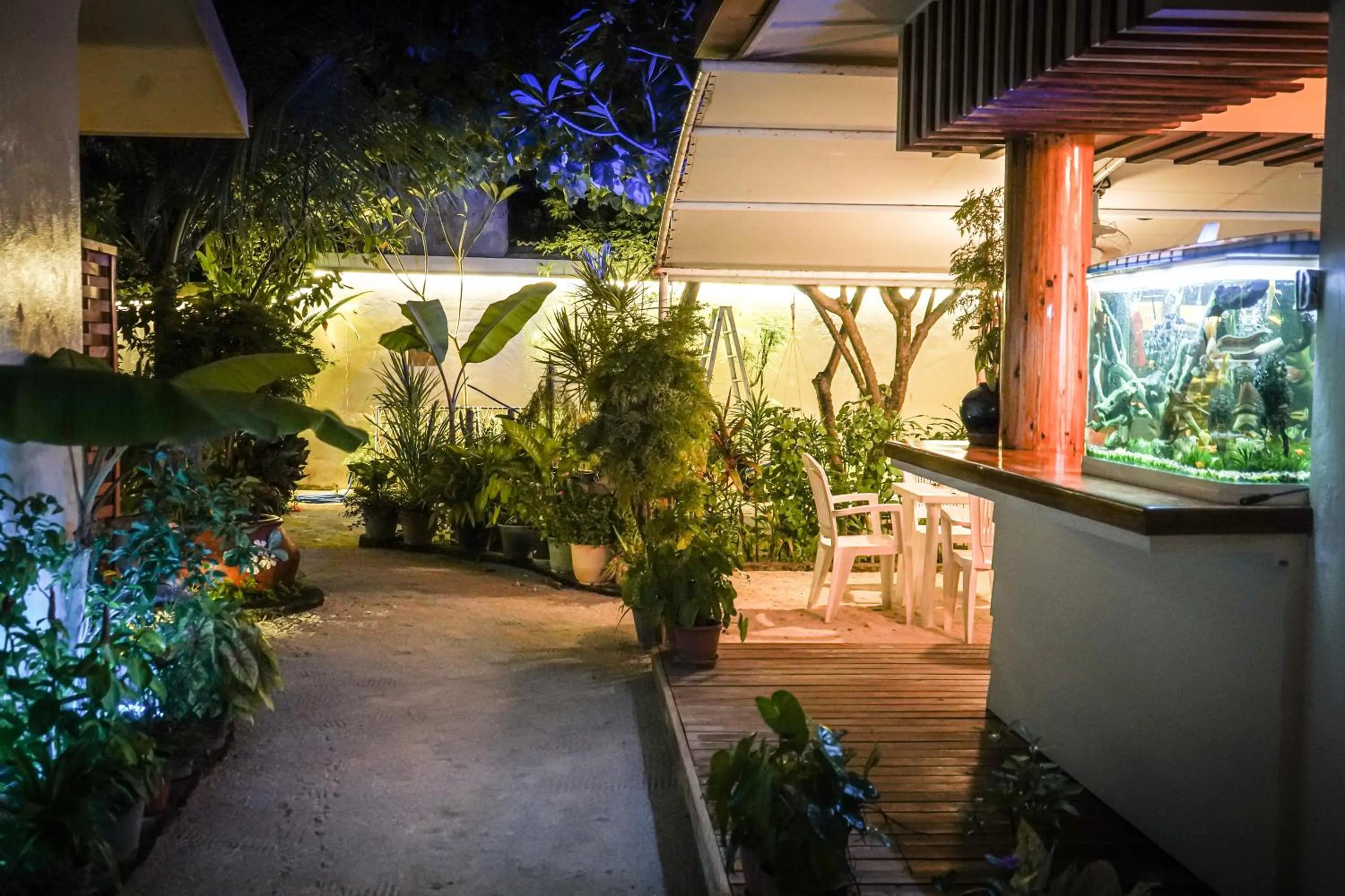 Garden in Banyan Villa Maldives Dhangethi