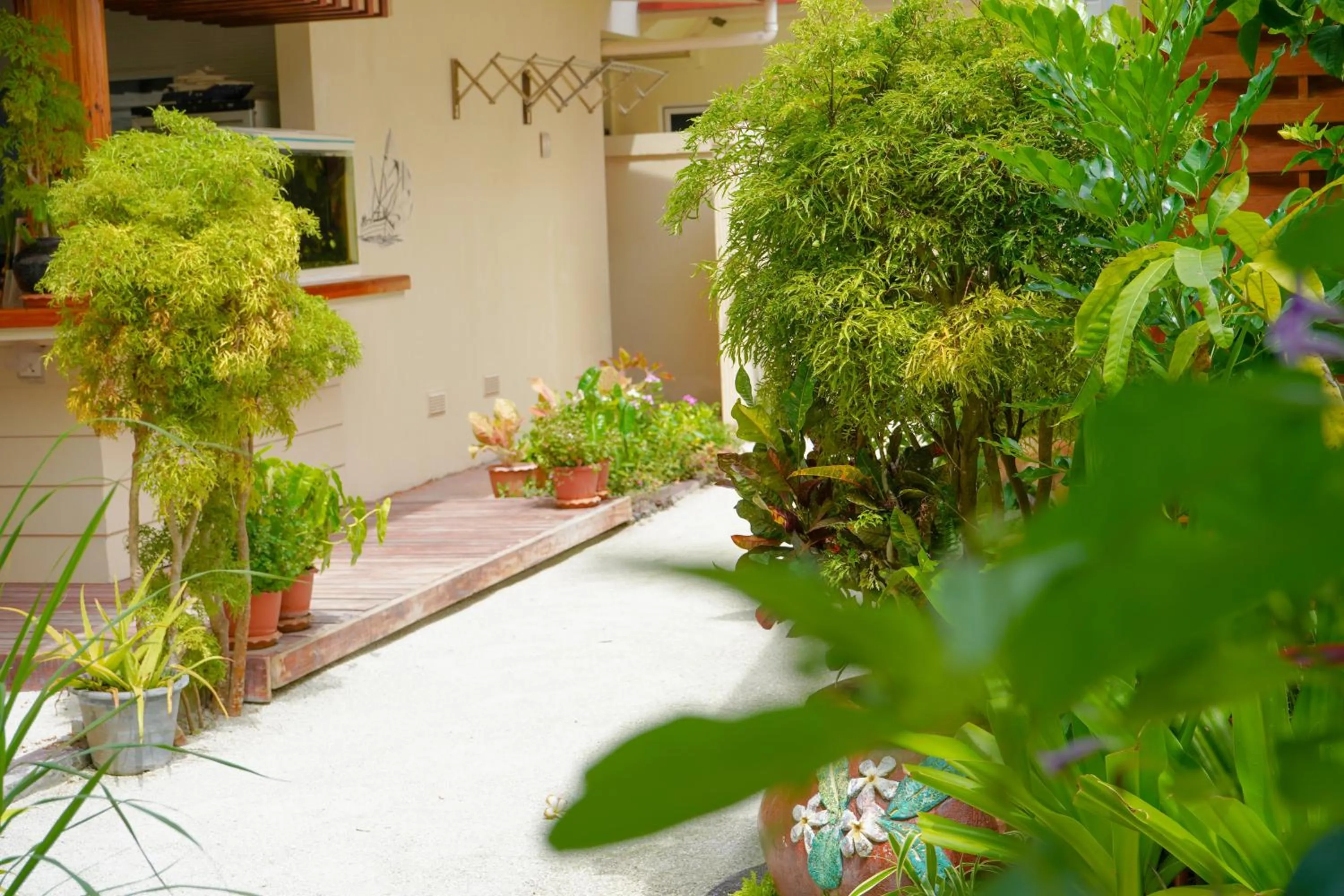 Garden in Banyan Villa Maldives Dhangethi