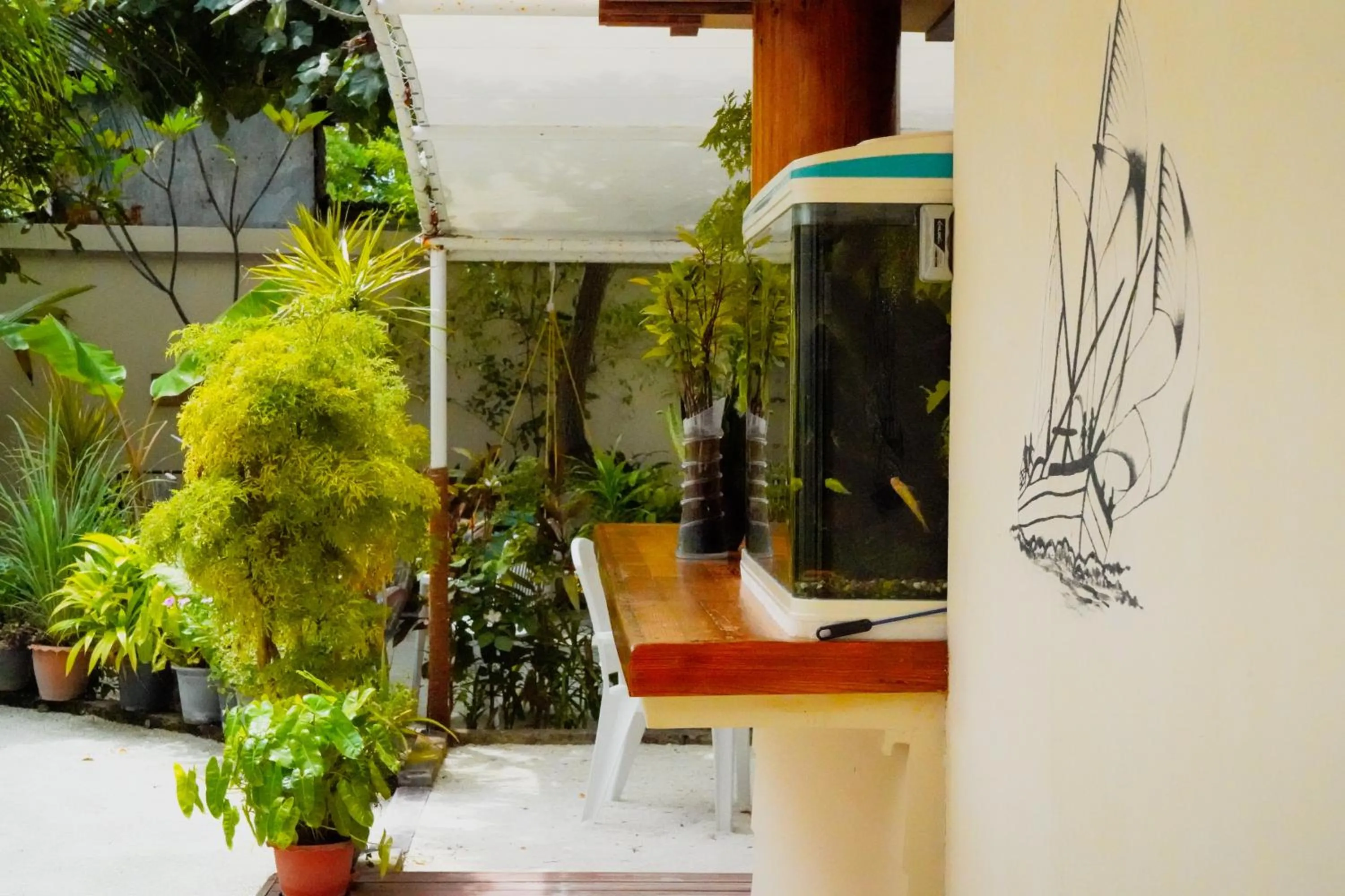 Garden in Banyan Villa Maldives Dhangethi