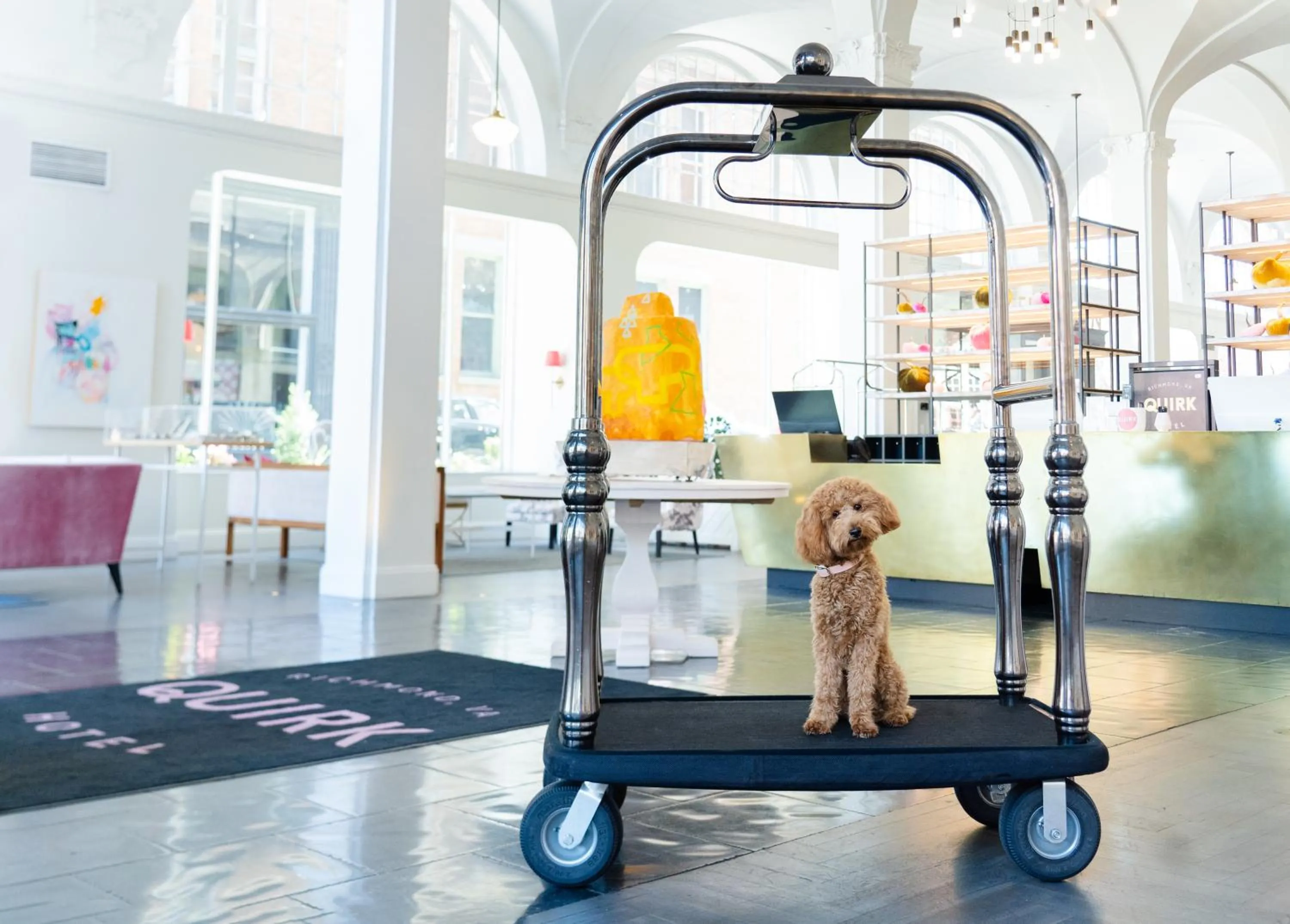 Pets in Quirk Hotel Richmond