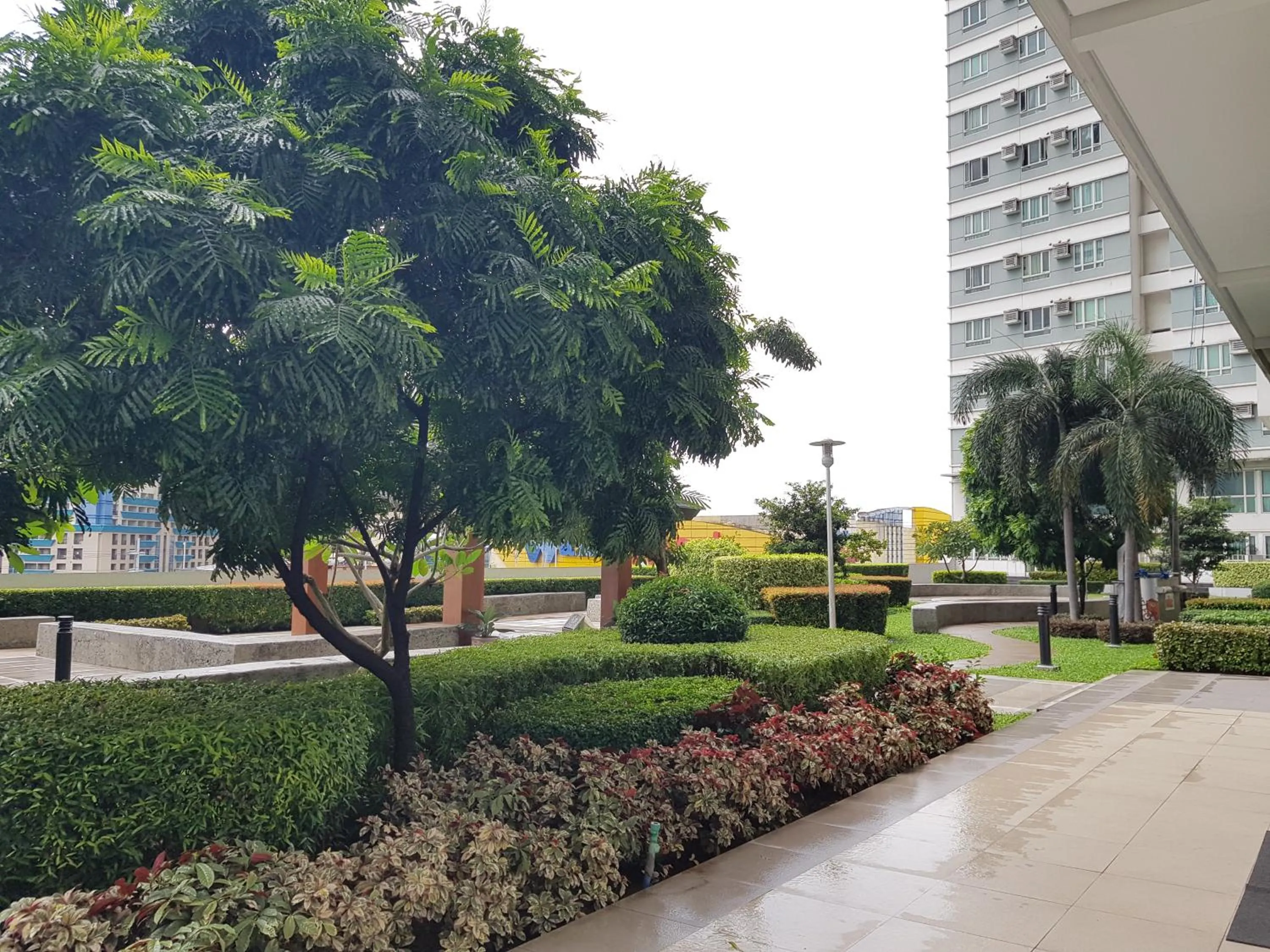 Garden in Studio Unit at The Beacon Makati
