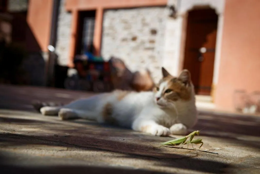 Kalderimi Country House