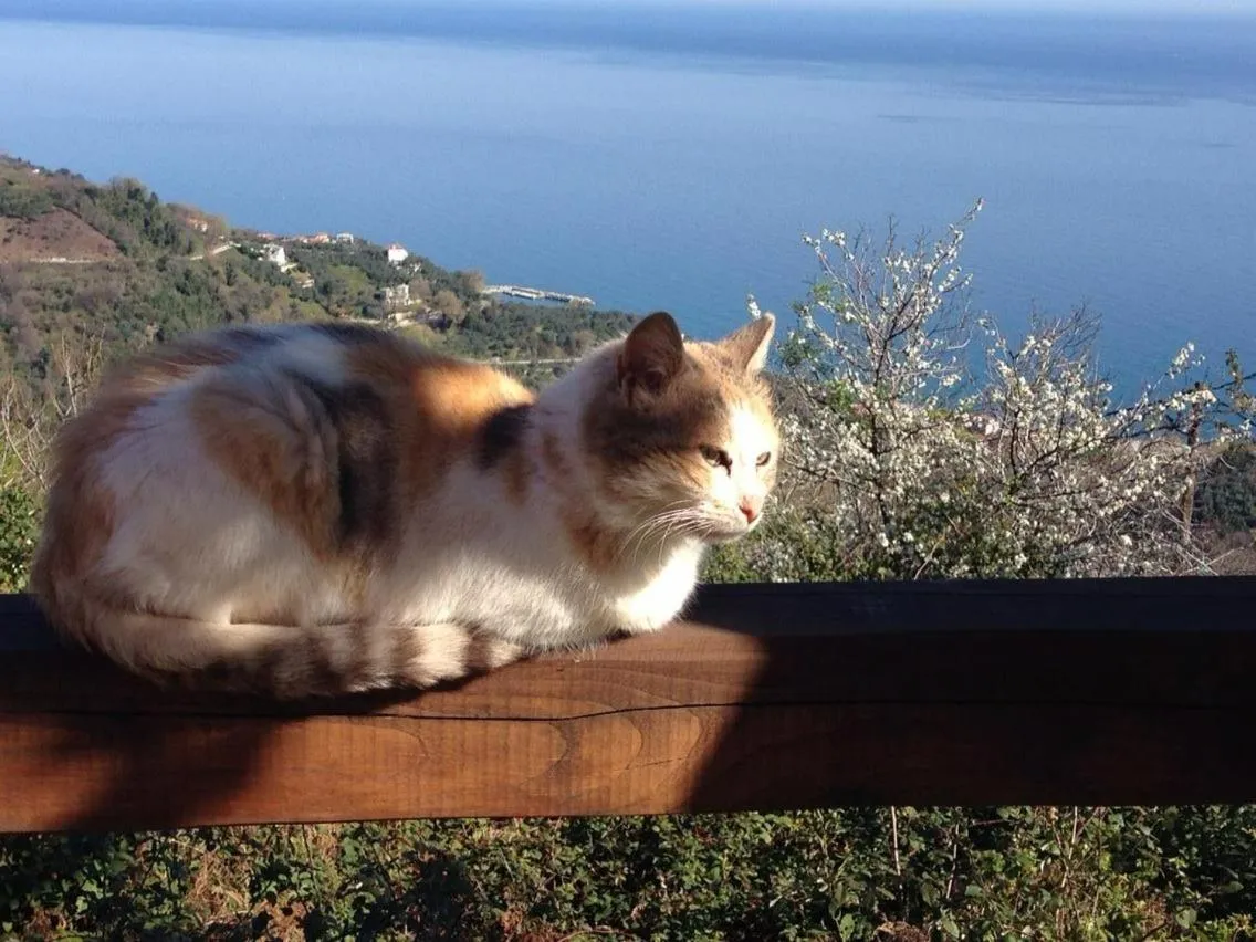 Kalderimi Country House