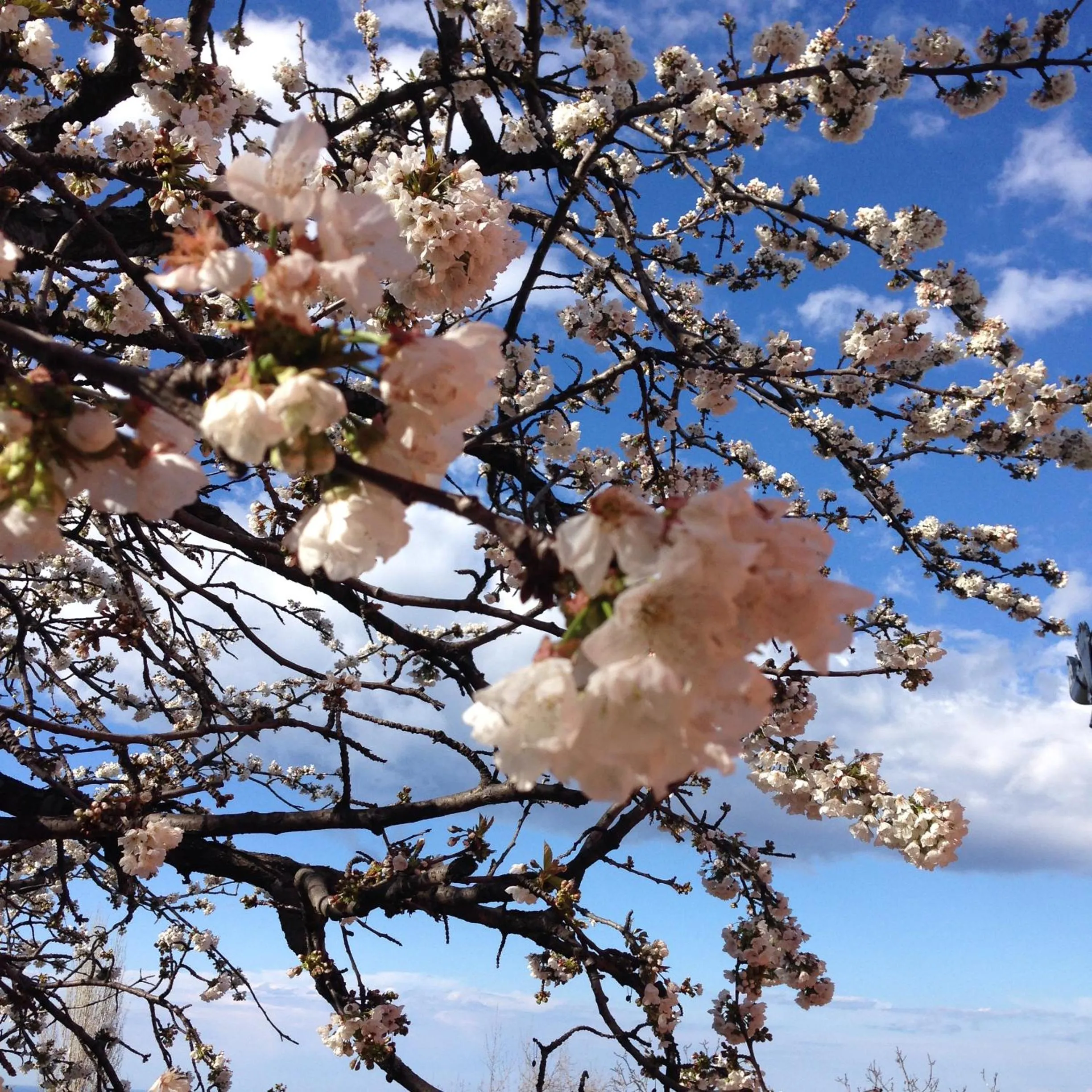 Kalderimi Country House