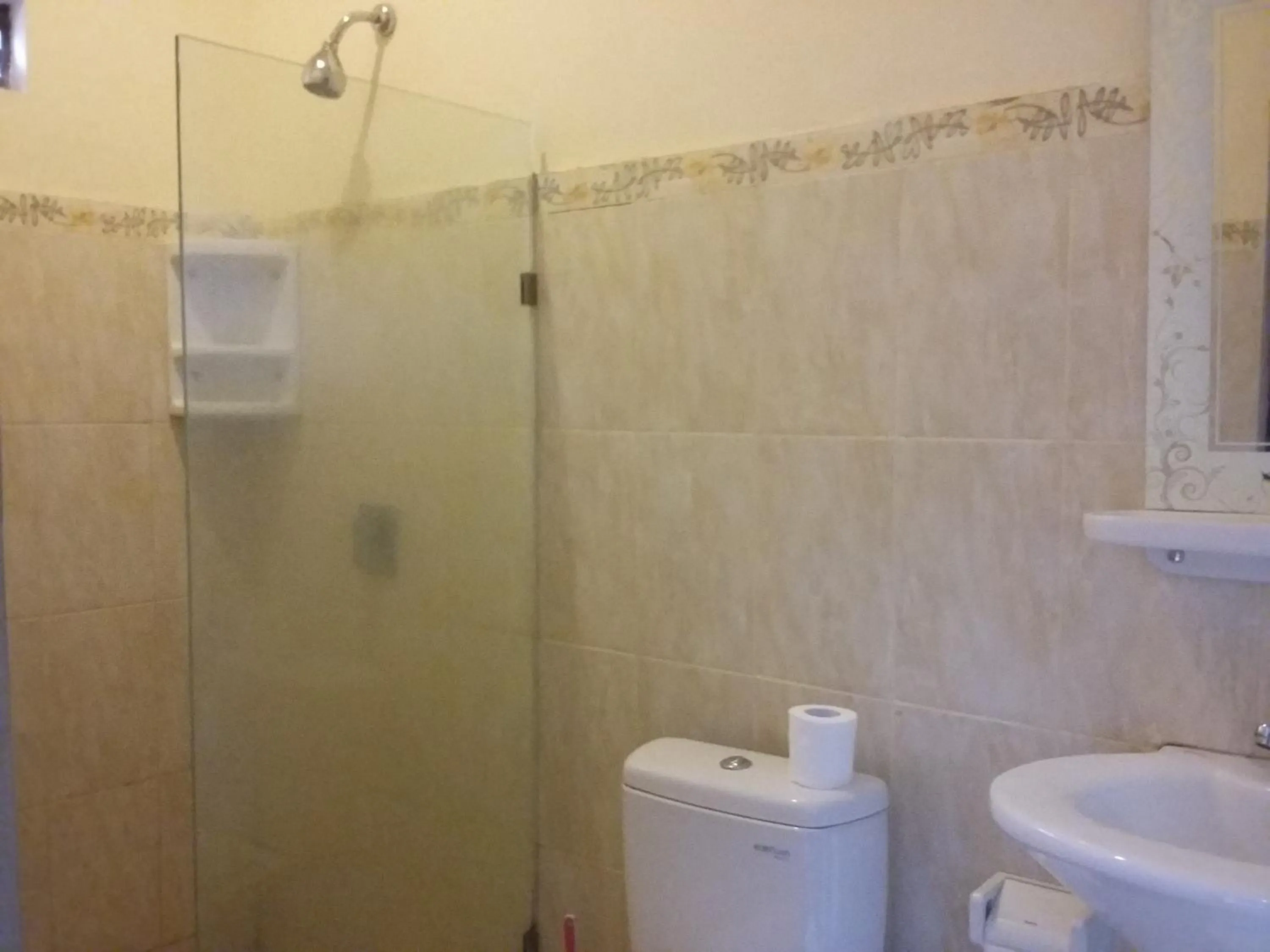 Shower in Puri Asri Bungalow Ubud