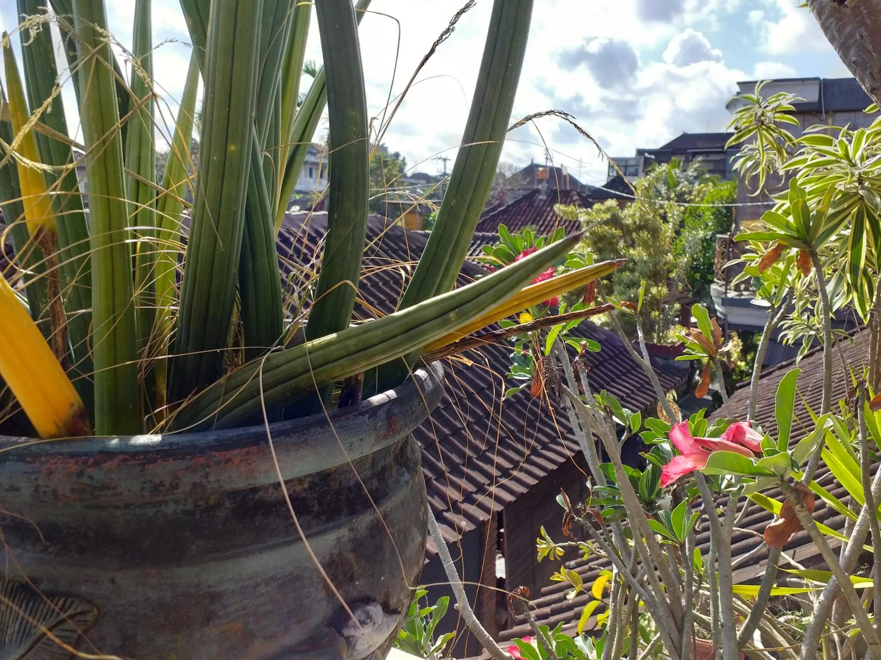 Balcony/Terrace in Puri Asri Bungalow Ubud