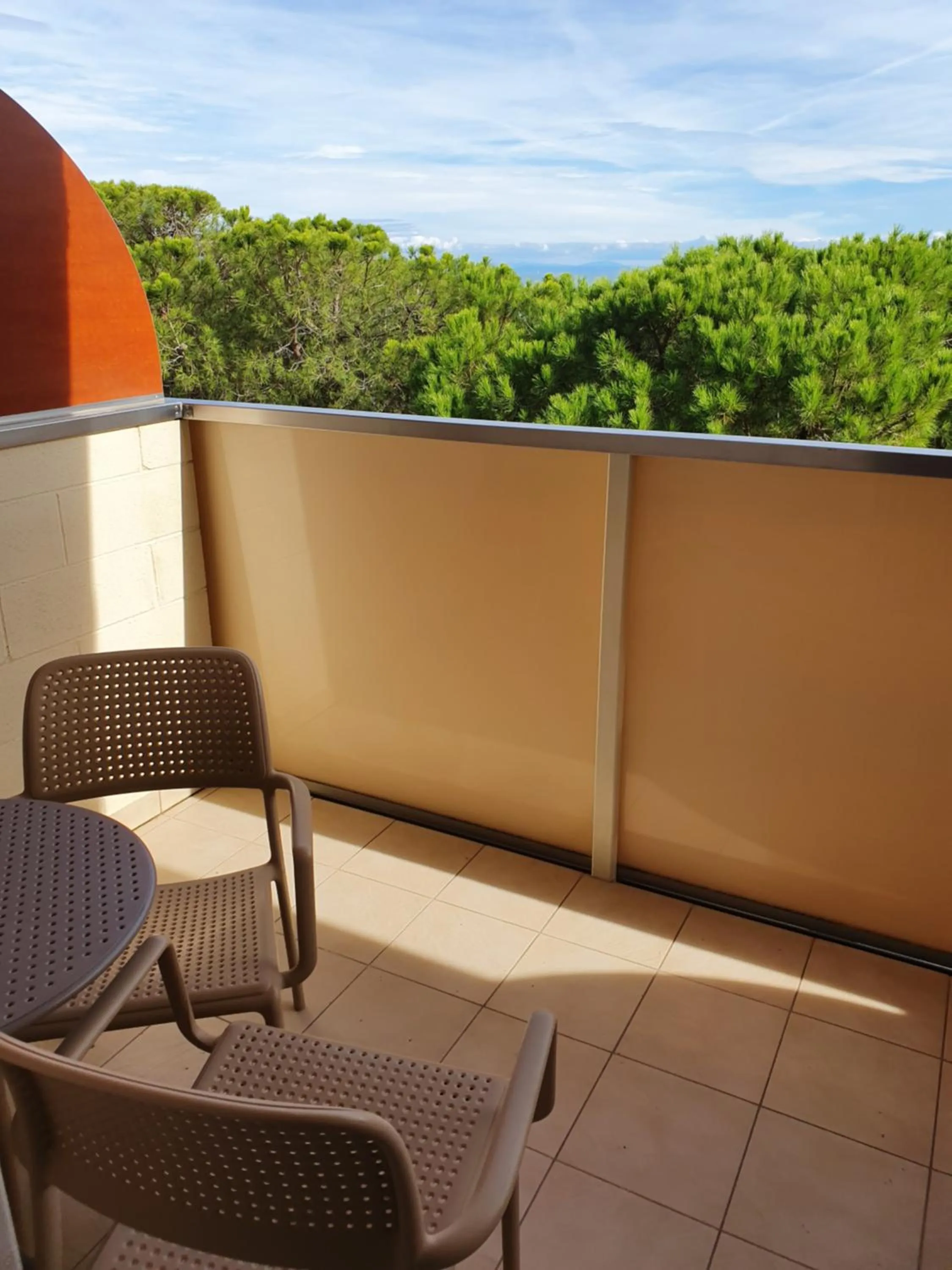 View (from property/room) in Hotel Europa Lignano