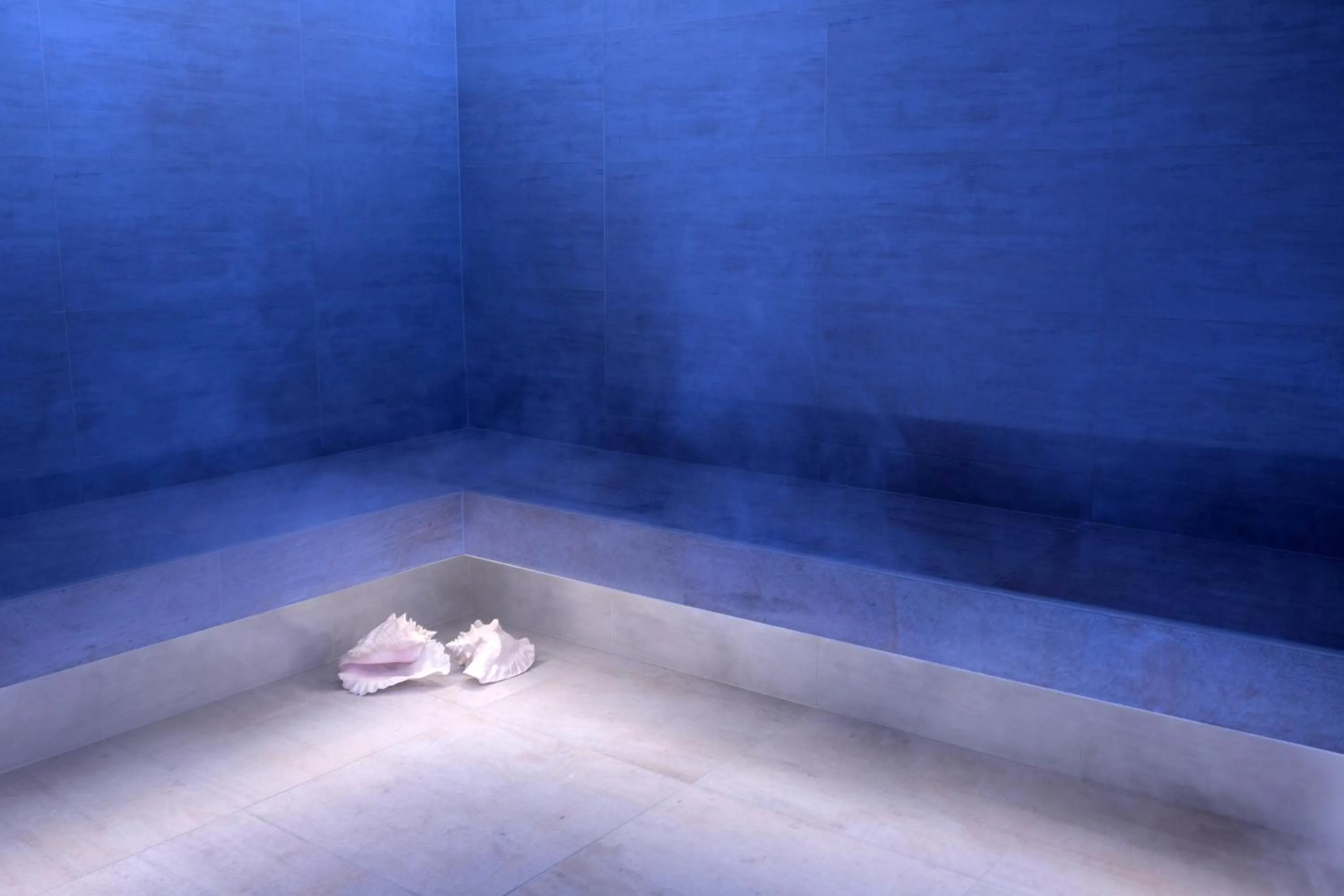 Steam room in Hotel Europa Lignano