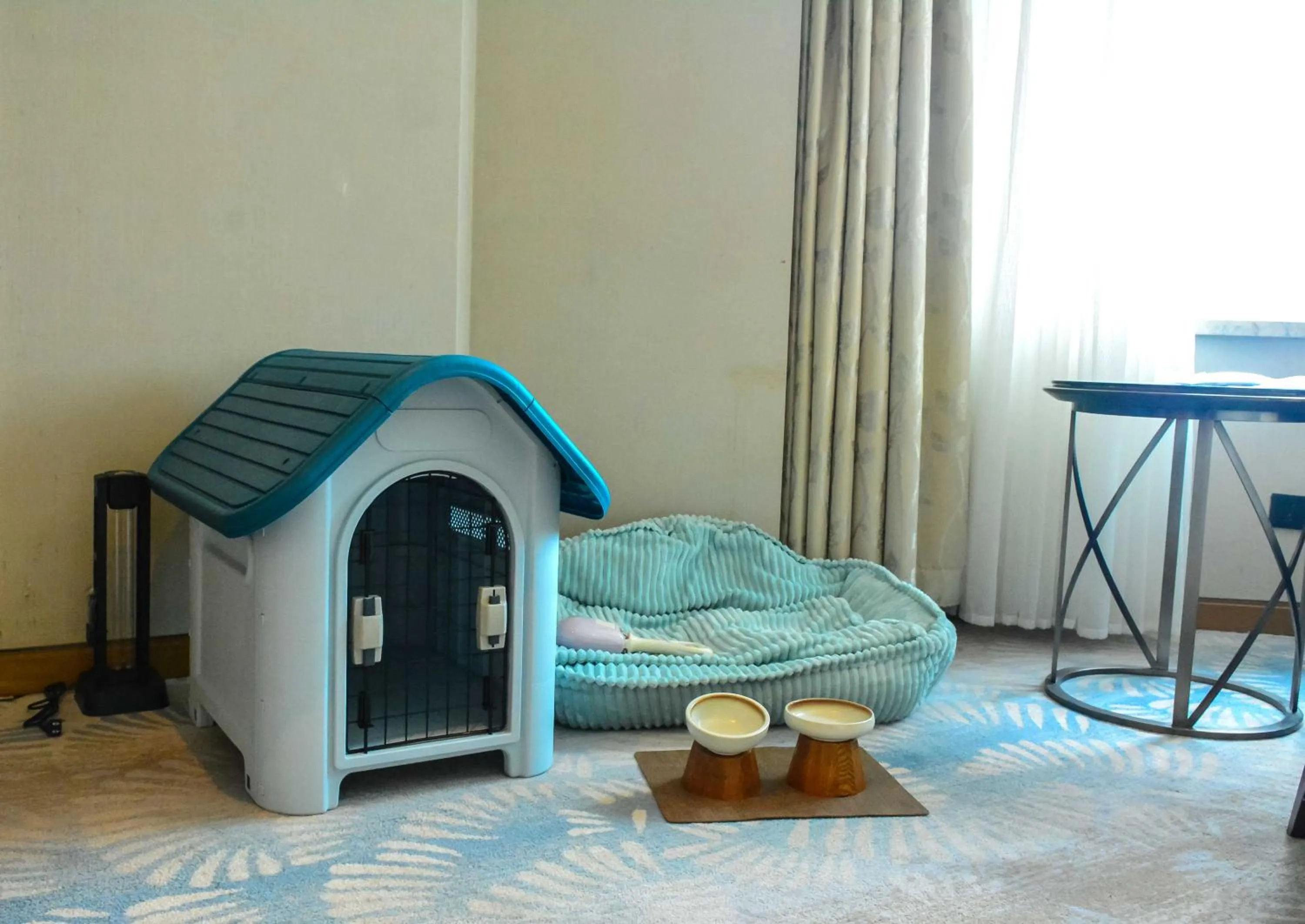 Animals, Bed in Hilton Urumqi