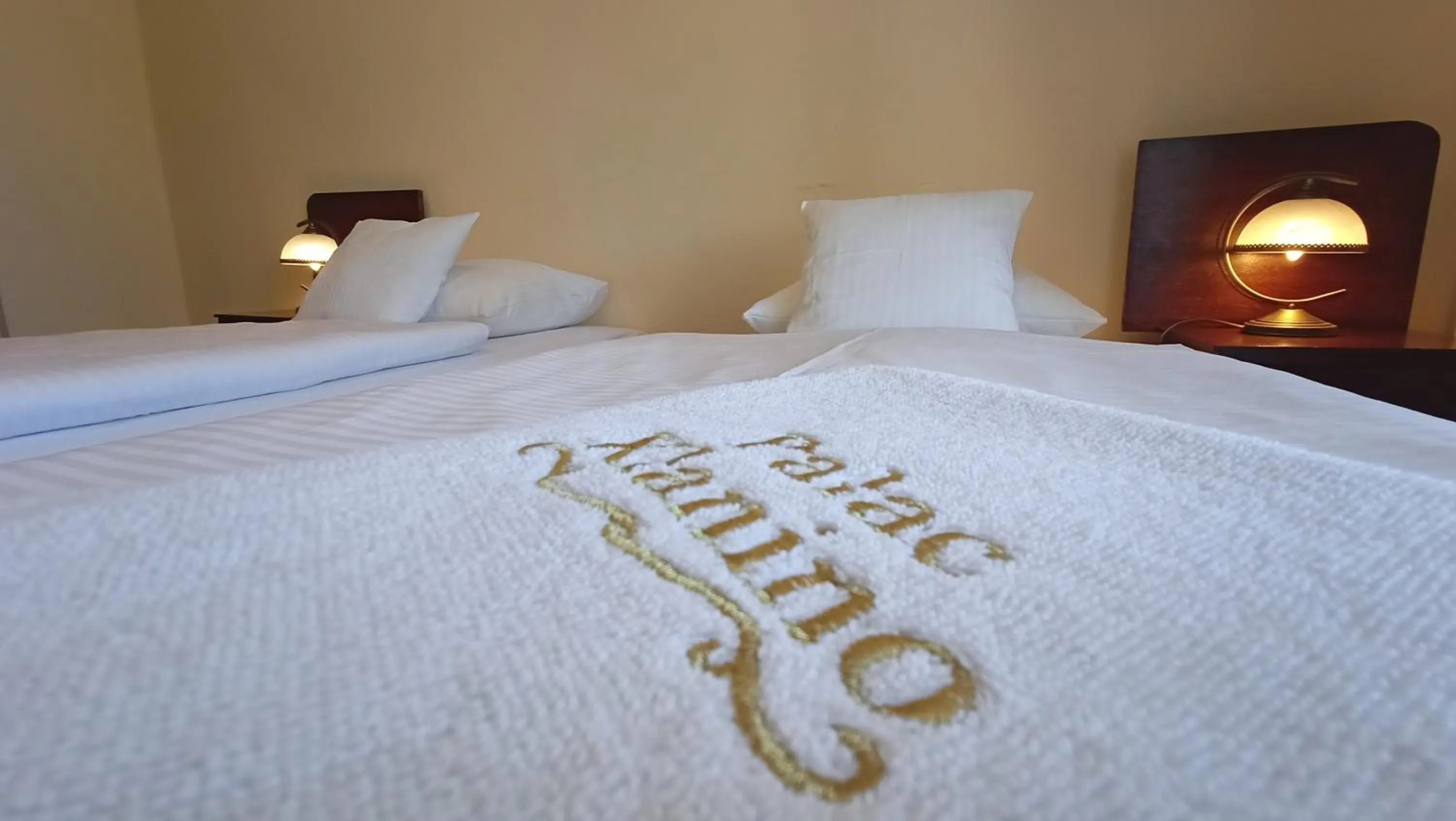 Bed in Pałac Kłanino