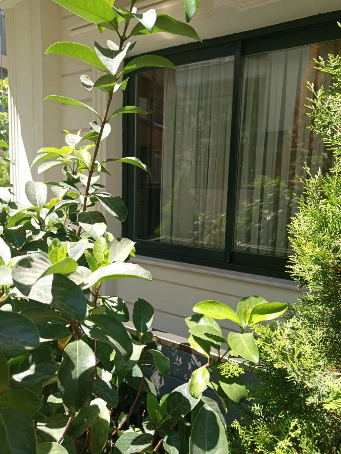 Garden view in Ber Mai İnci Hotel Antalya