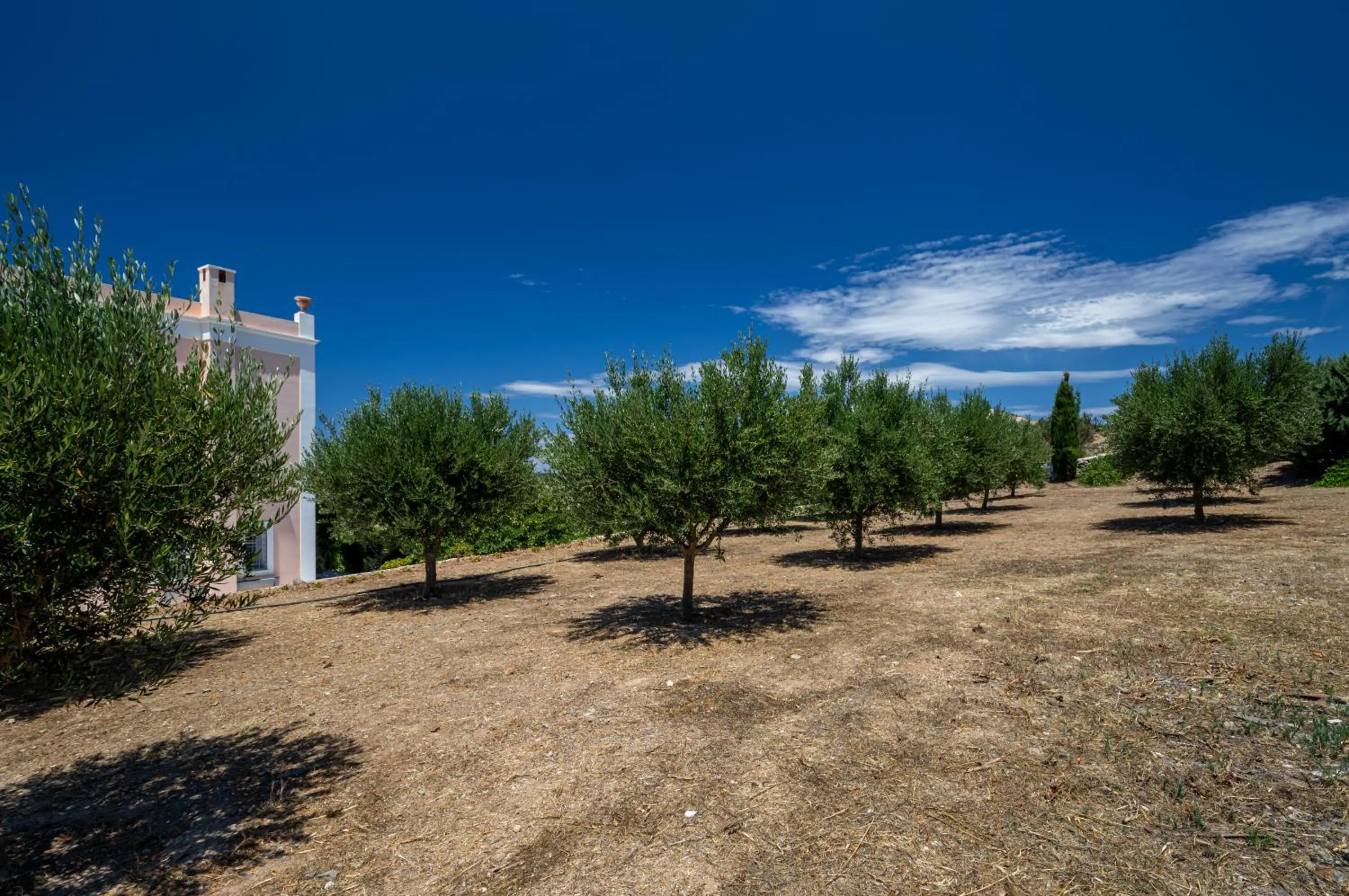 Garden in Villa Casa Del Sol Syros