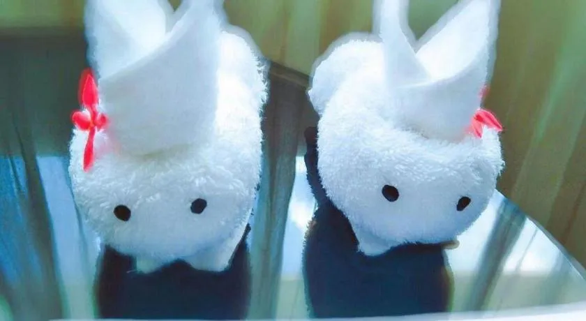 Haikou Conifer Garden Hotel