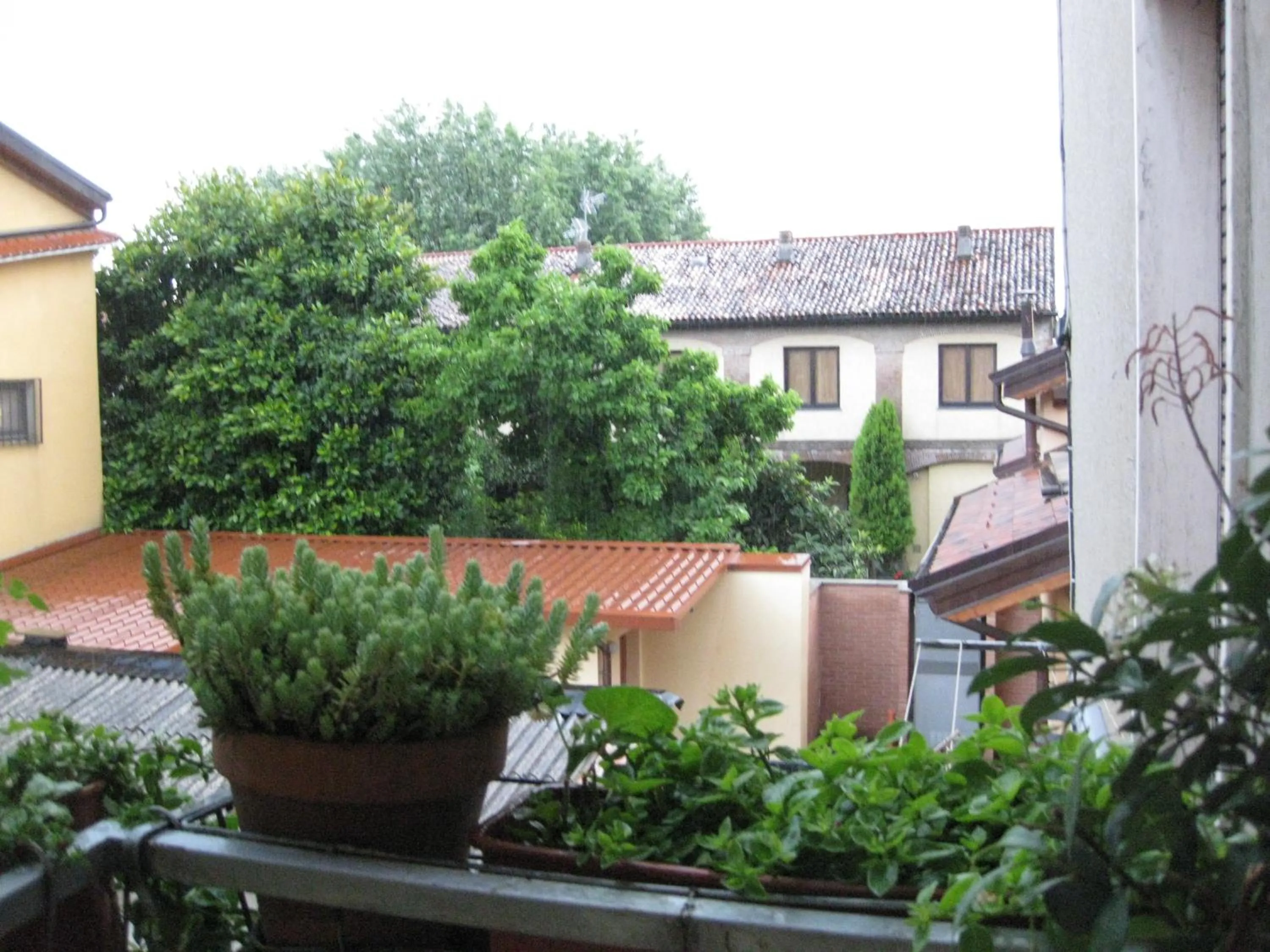 Neighbourhood in B&B Lavender&Rose