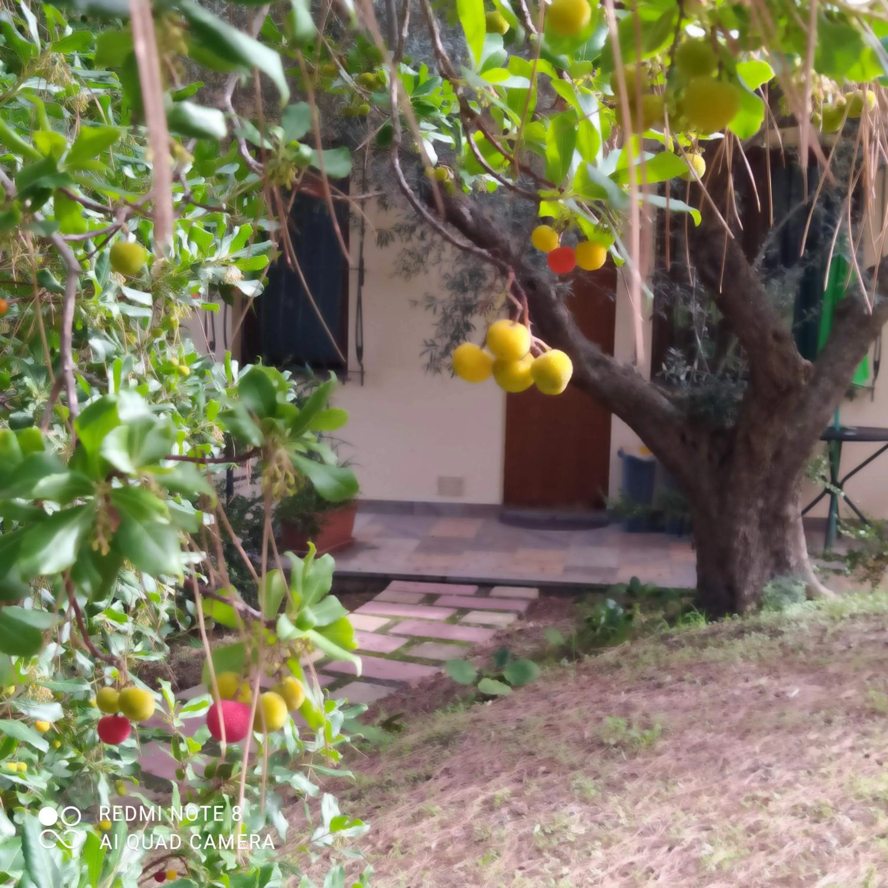 Le Poiane B&B Vacanze