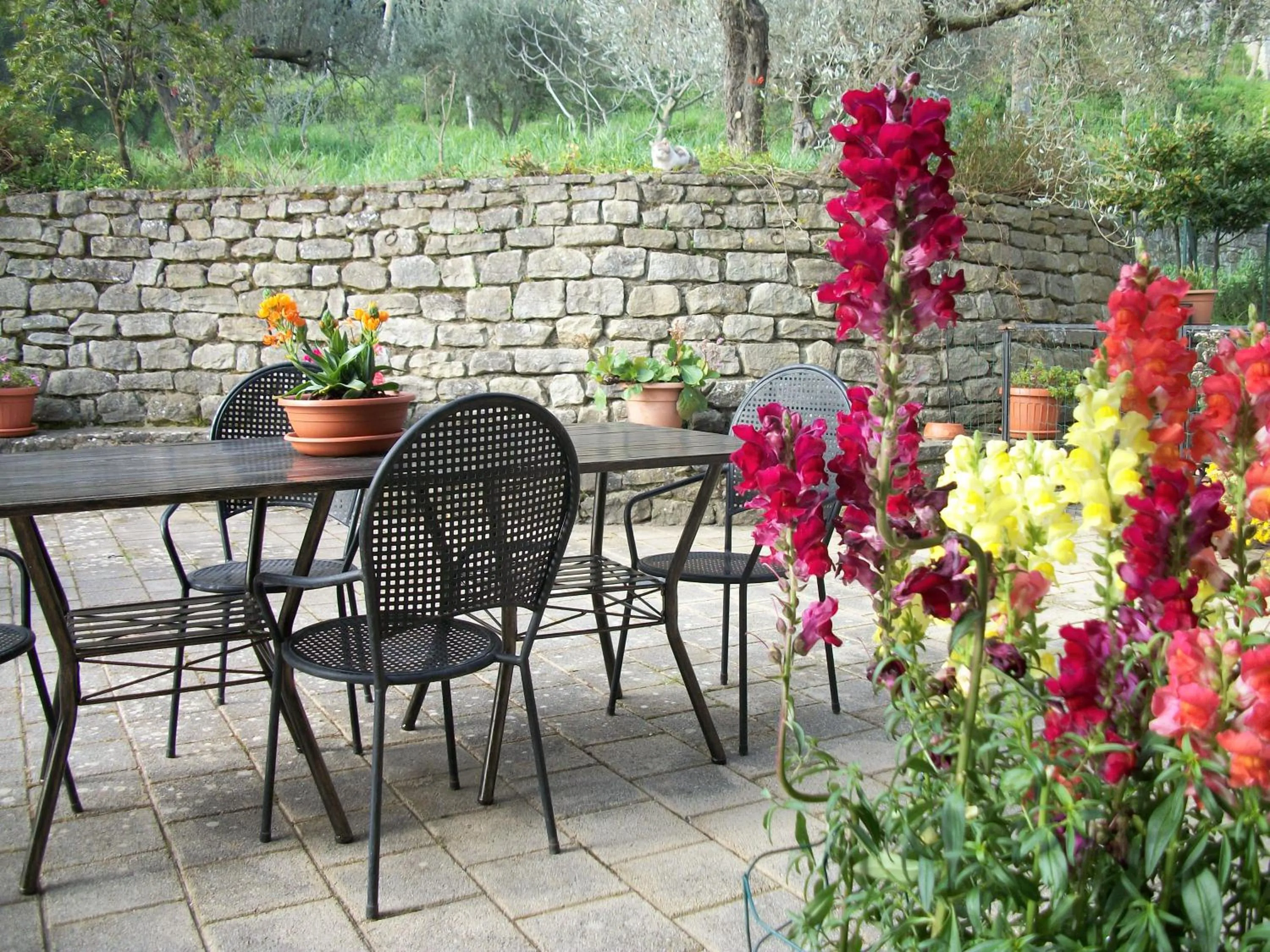 Garden in Le Poiane B&B Vacanze