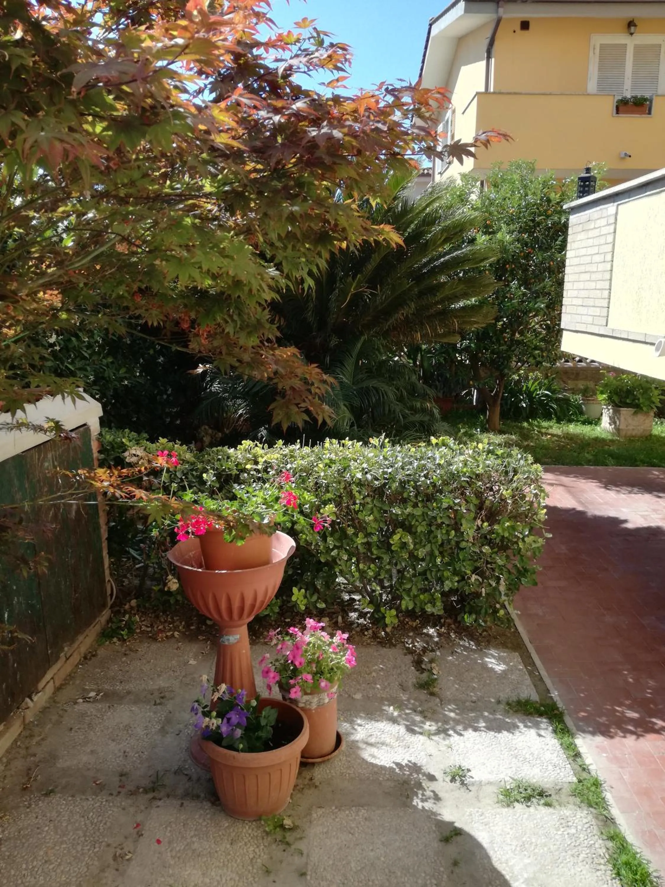 Garden view in Bb Smallville