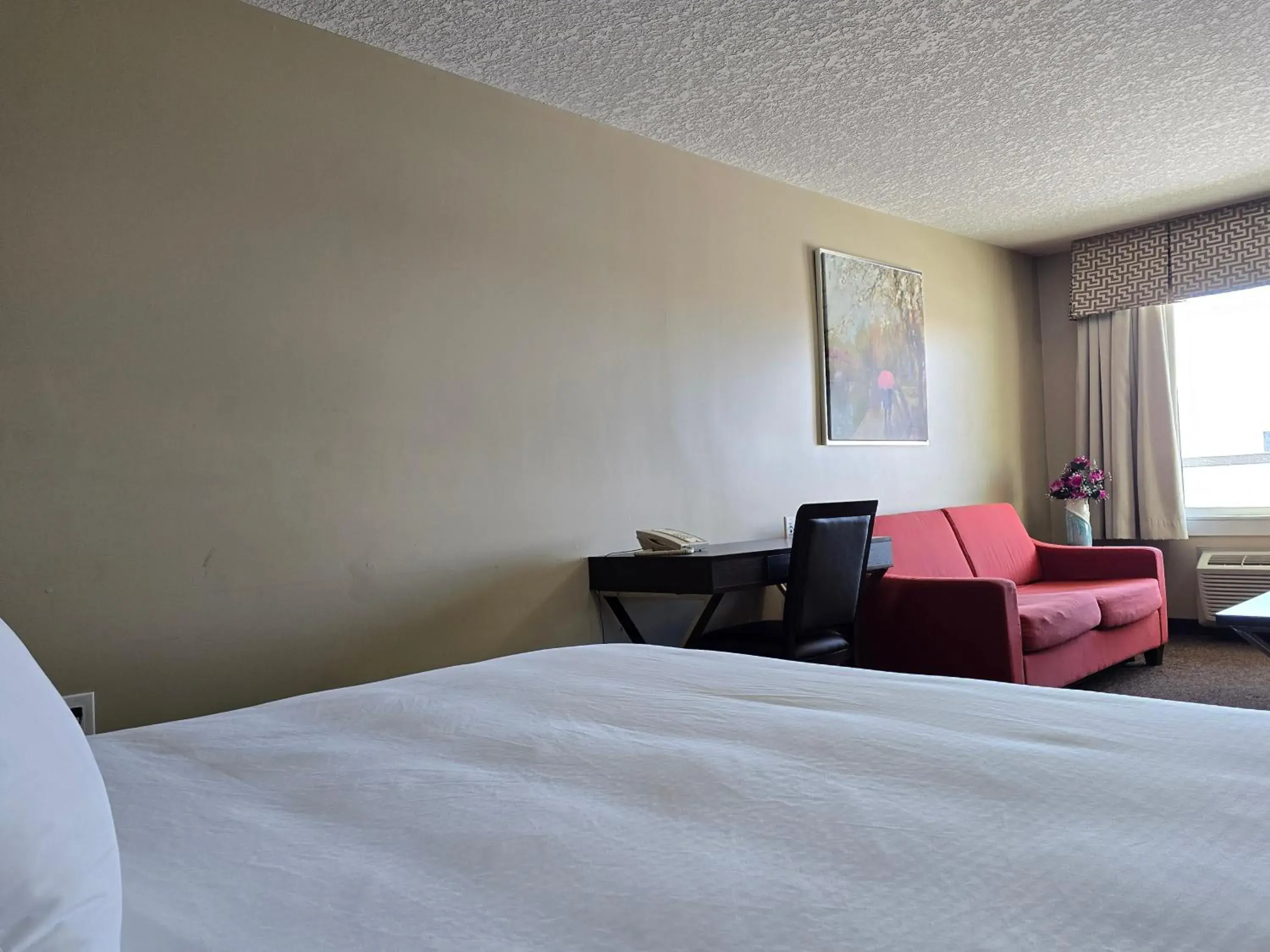 King Room with Spa Bath - single occupancy in Royal Lodge King Room with Spa Bath - single occupancy in Royal Lodge