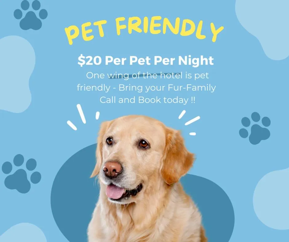 Pets in Grantsburg Inn