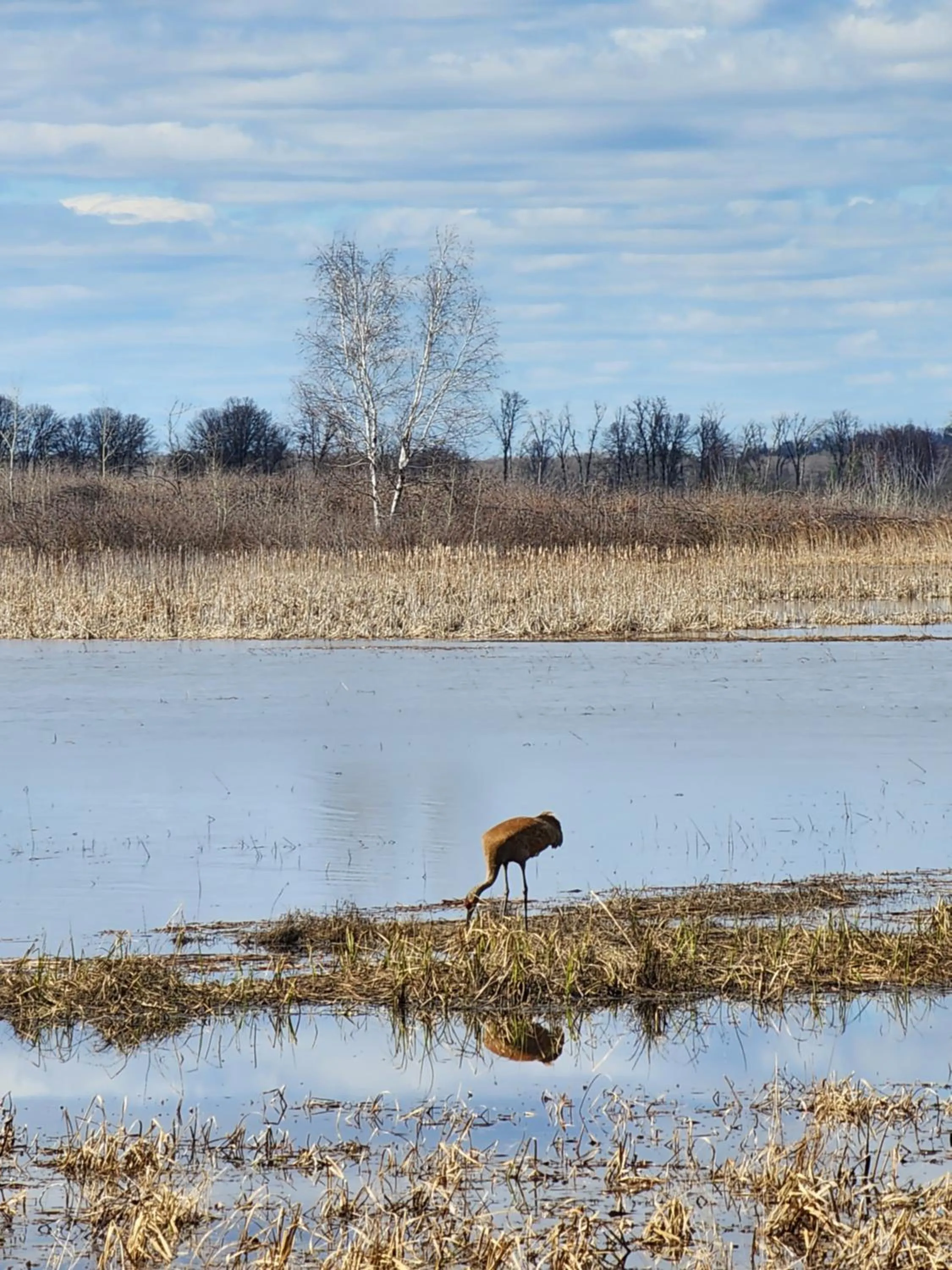 Natural landscape in Grantsburg Inn