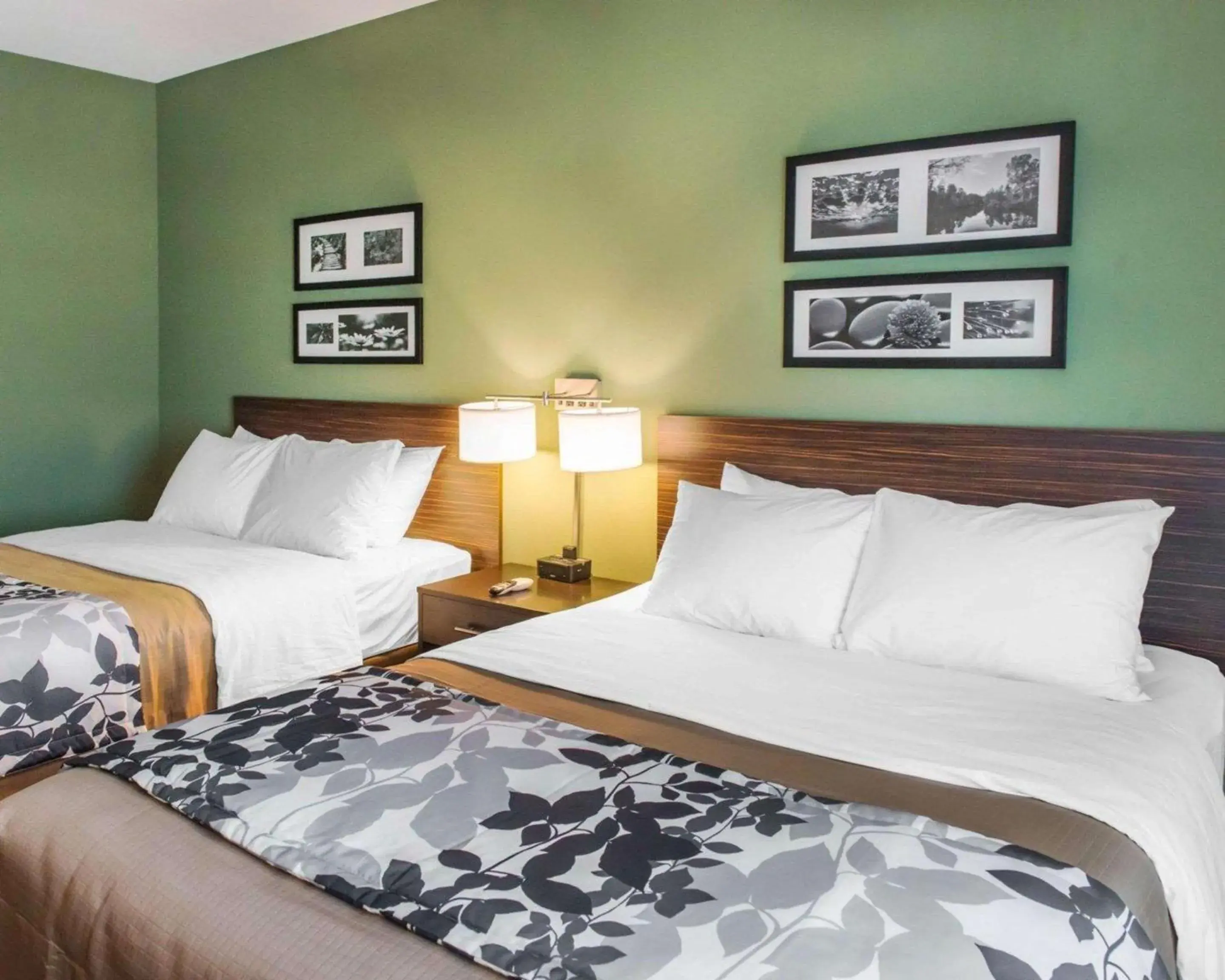 Queen Room with Two Queen Beds - Non-Smoking in Sleep Inn & Suites Defuniak Springs - Crestview Queen Room with Two Queen Beds - Non-Smoking in Sleep Inn & Suites Defuniak Springs - Crestview