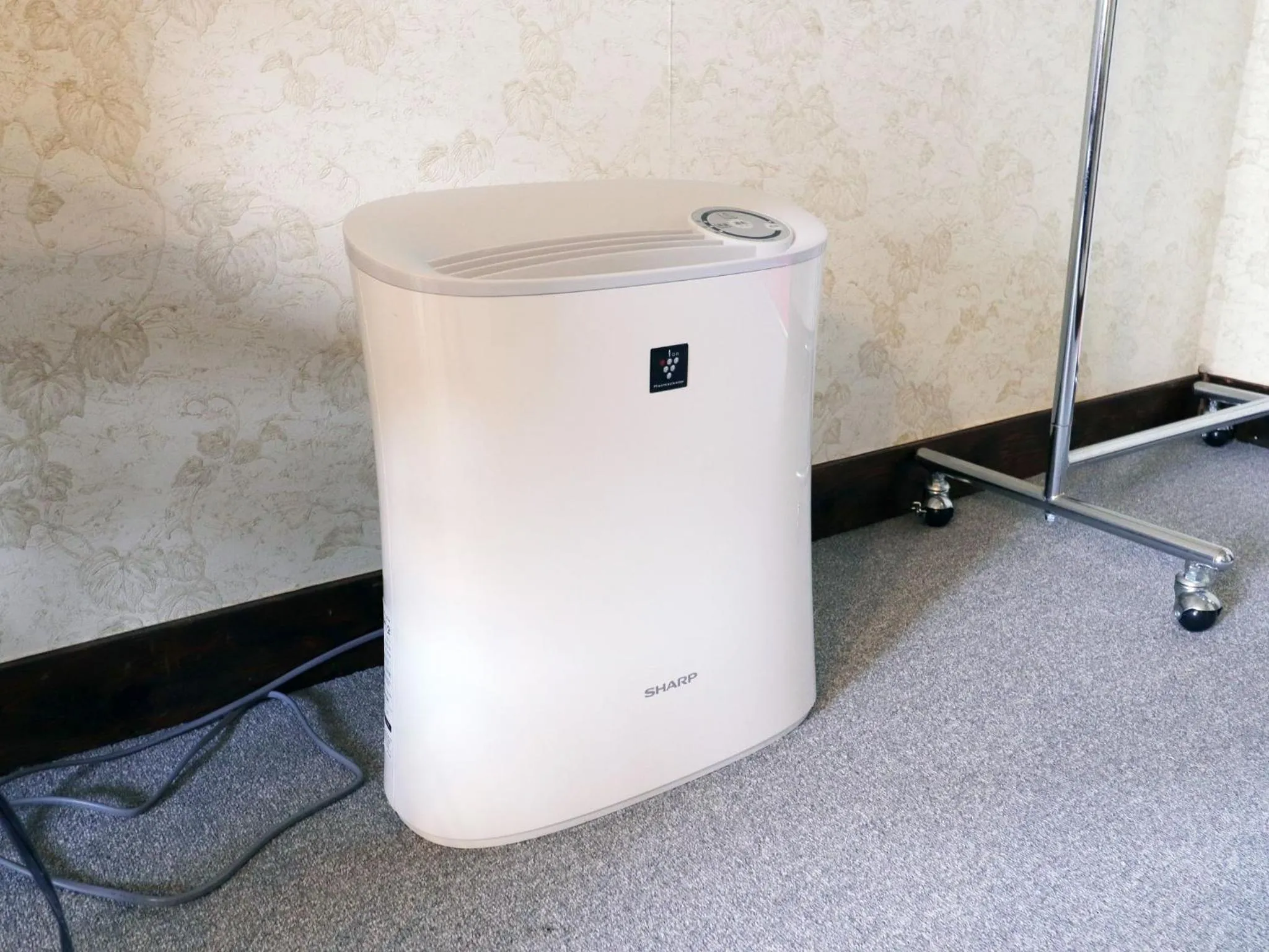 Area and facilities in Hotel Camelot