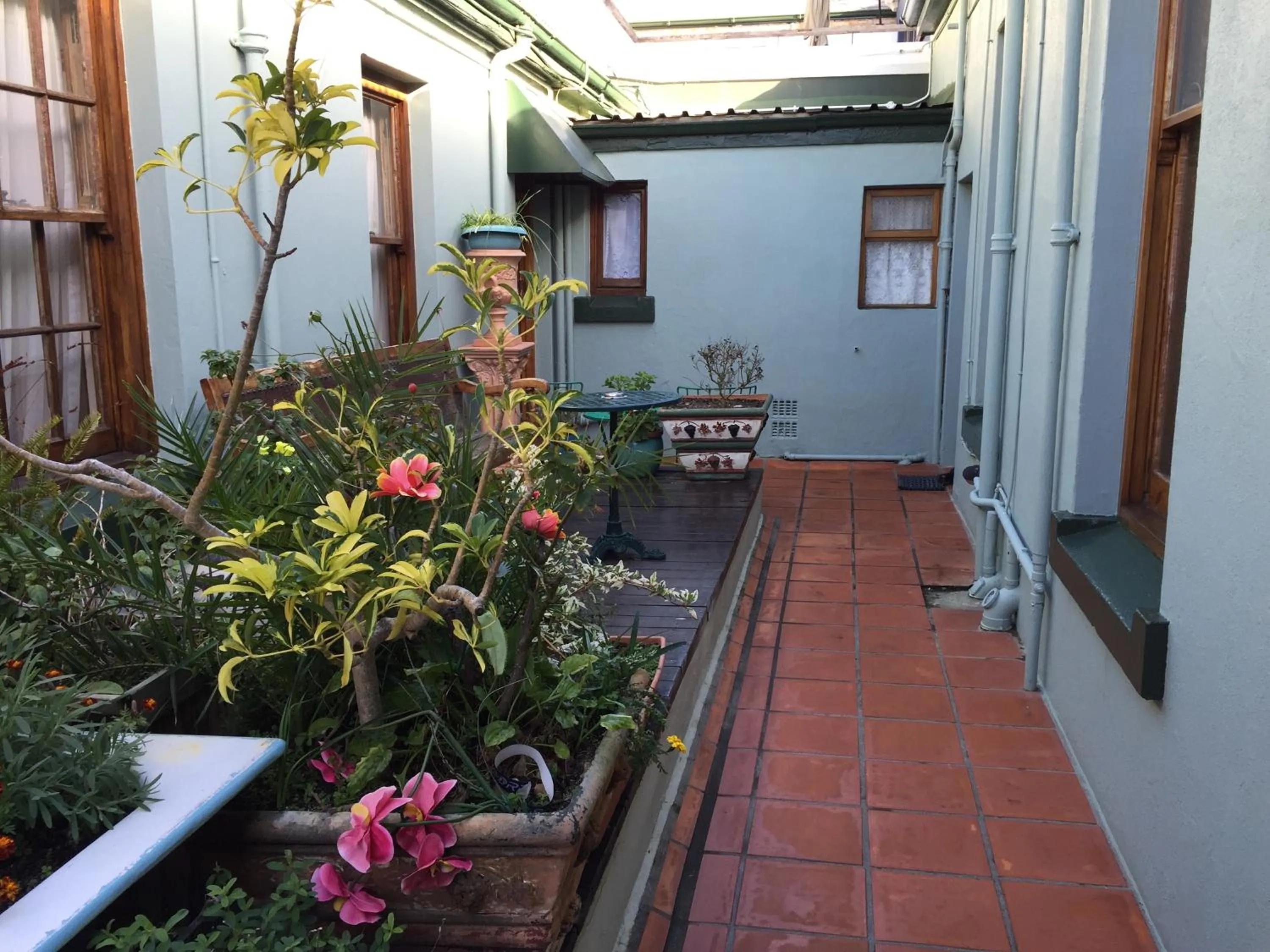 Patio in Central Hotel Guest House