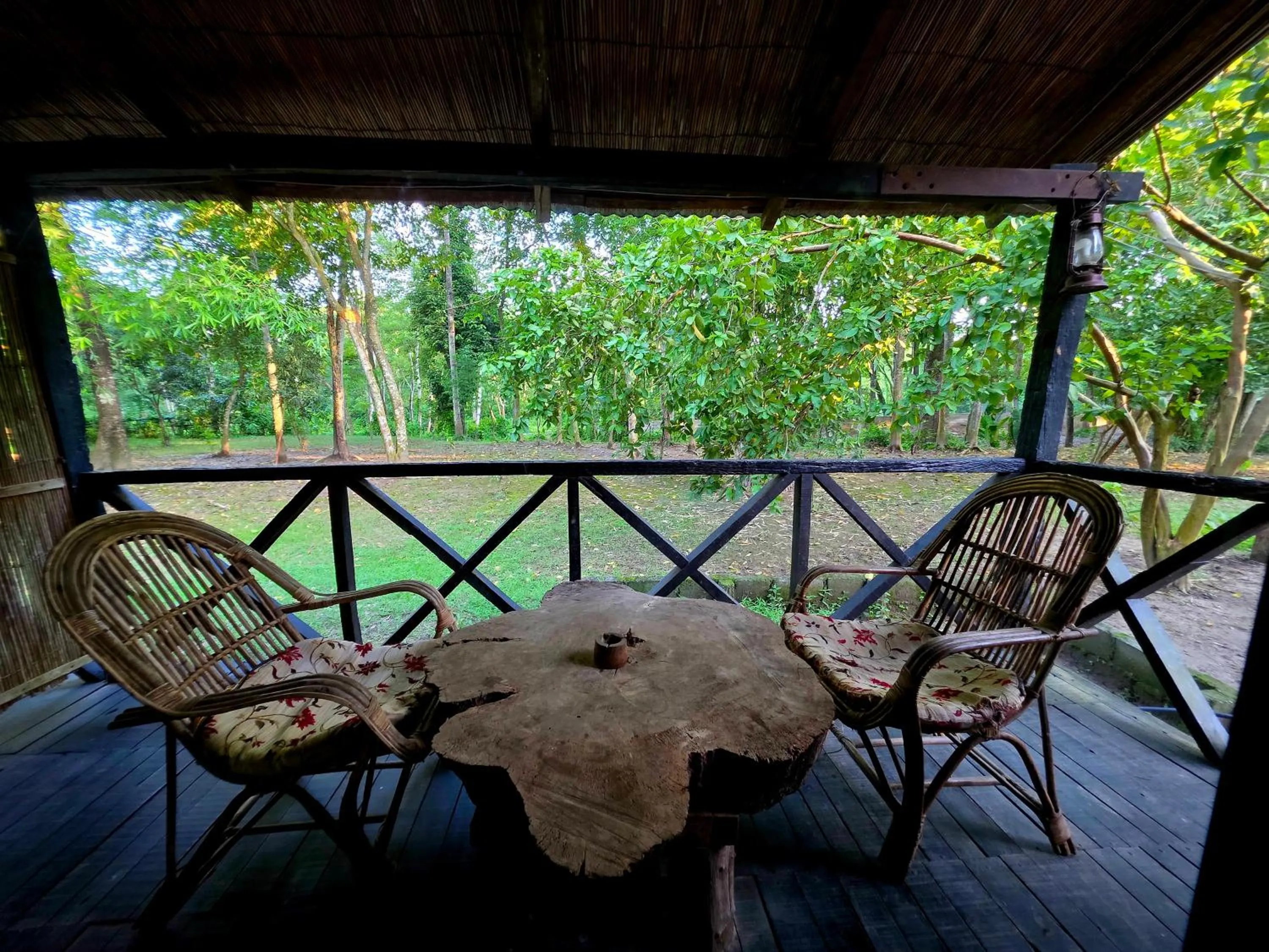 View (from property/room) in Siddhartha Wildlife Retreat