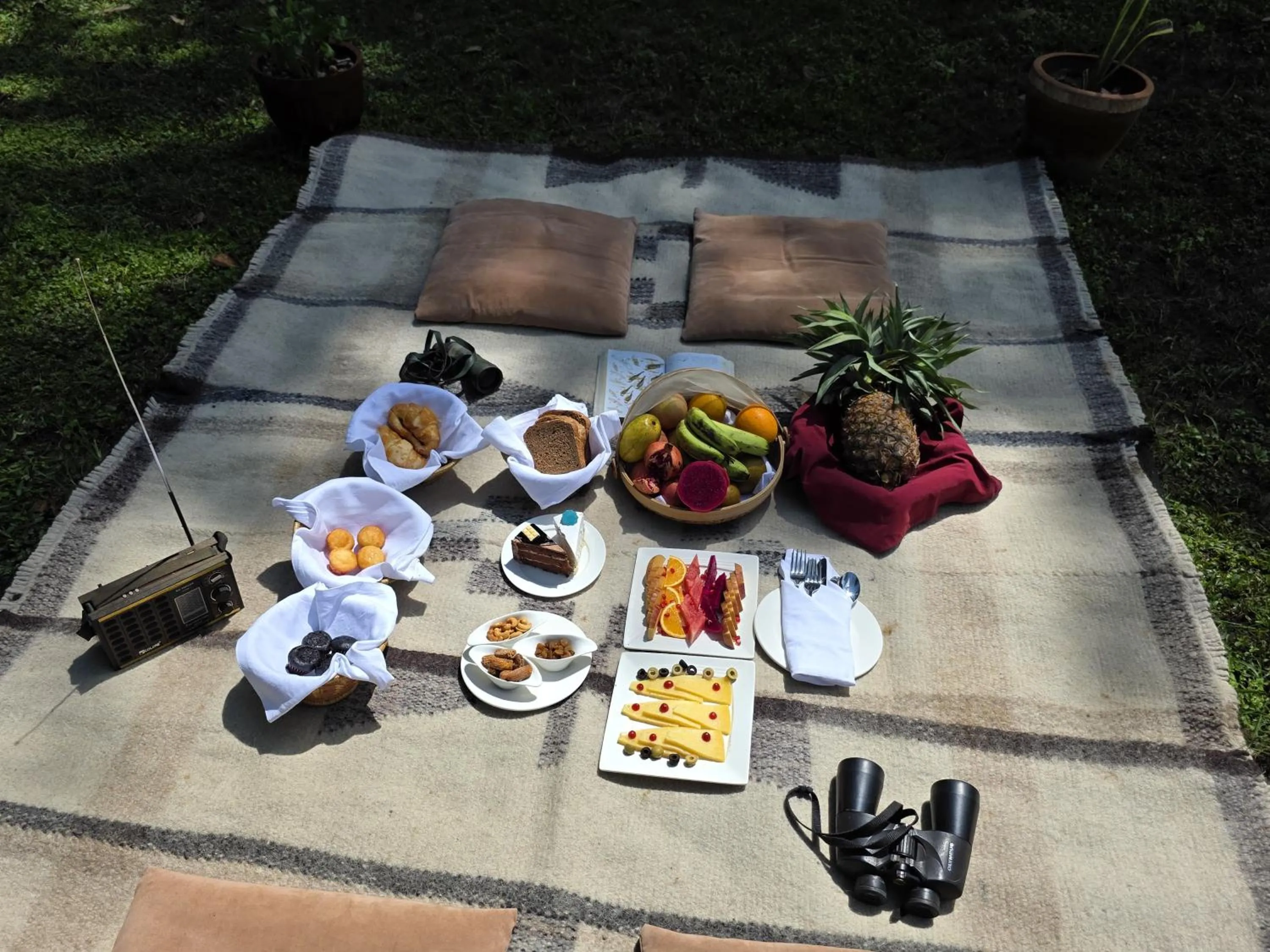 Breakfast in Siddhartha Wildlife Retreat